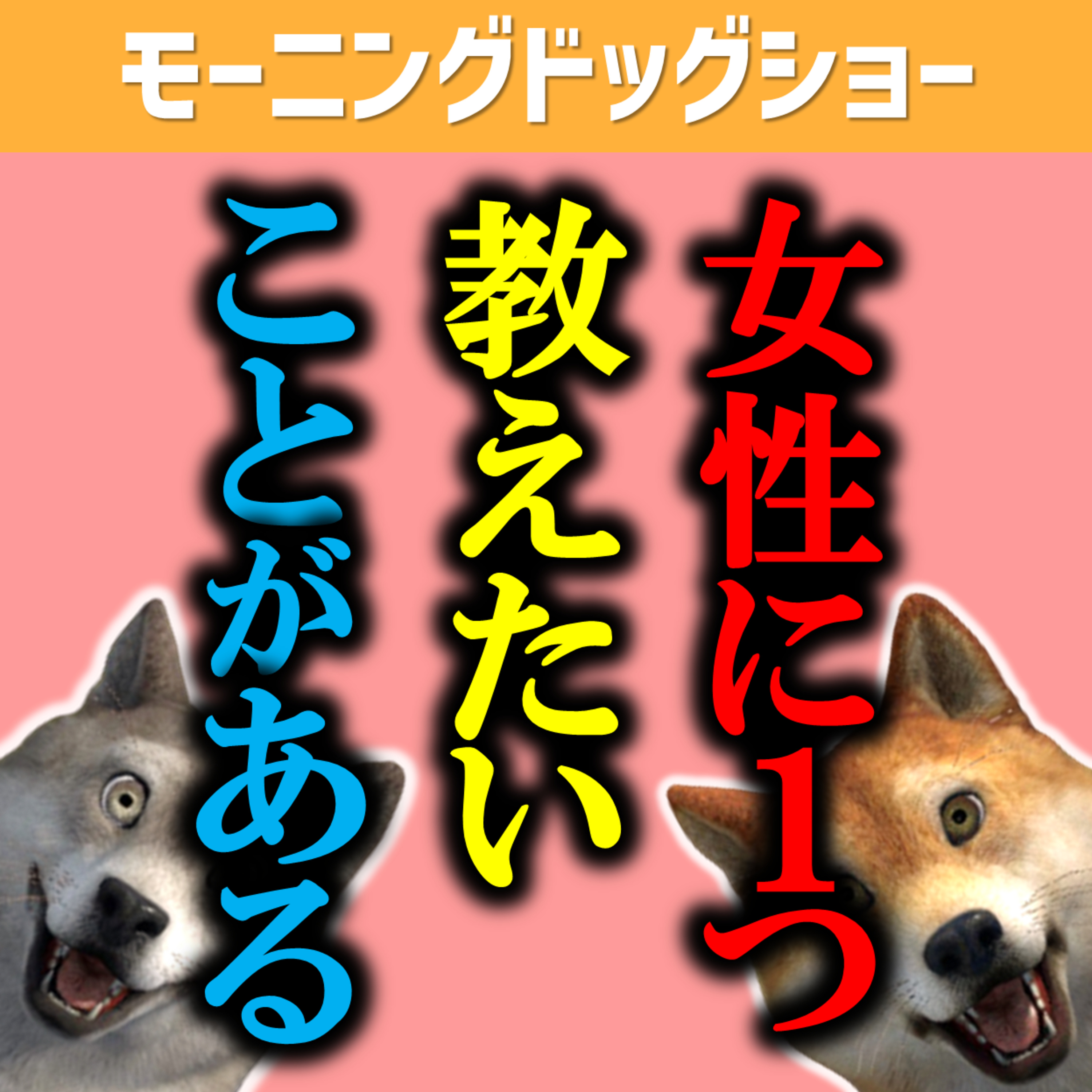 女性に知っておいて欲しい大切なこと episode artwork