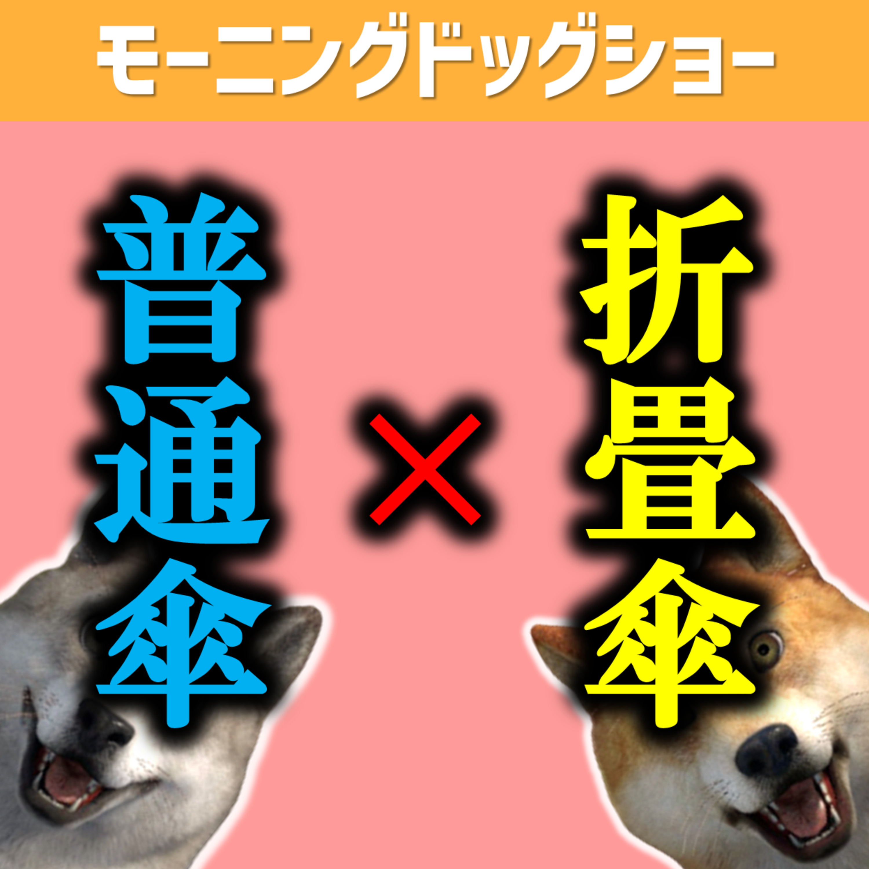 【LIVE12:20-12:40】折りたたみ傘と普通の傘、直近でどっち使った？ episode artwork