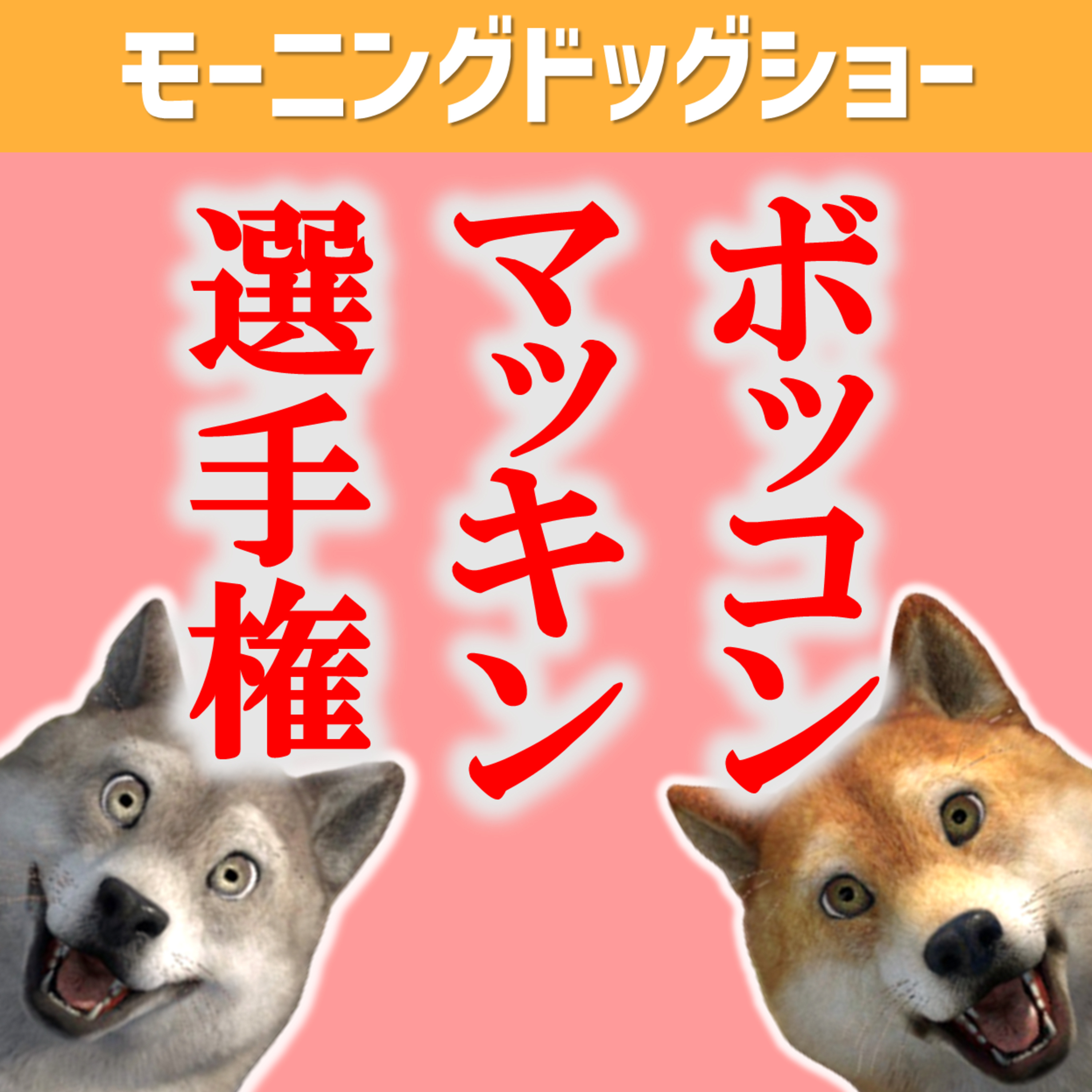 【参加型】ボッコンマッキン選手権を開催いたします！！ episode artwork