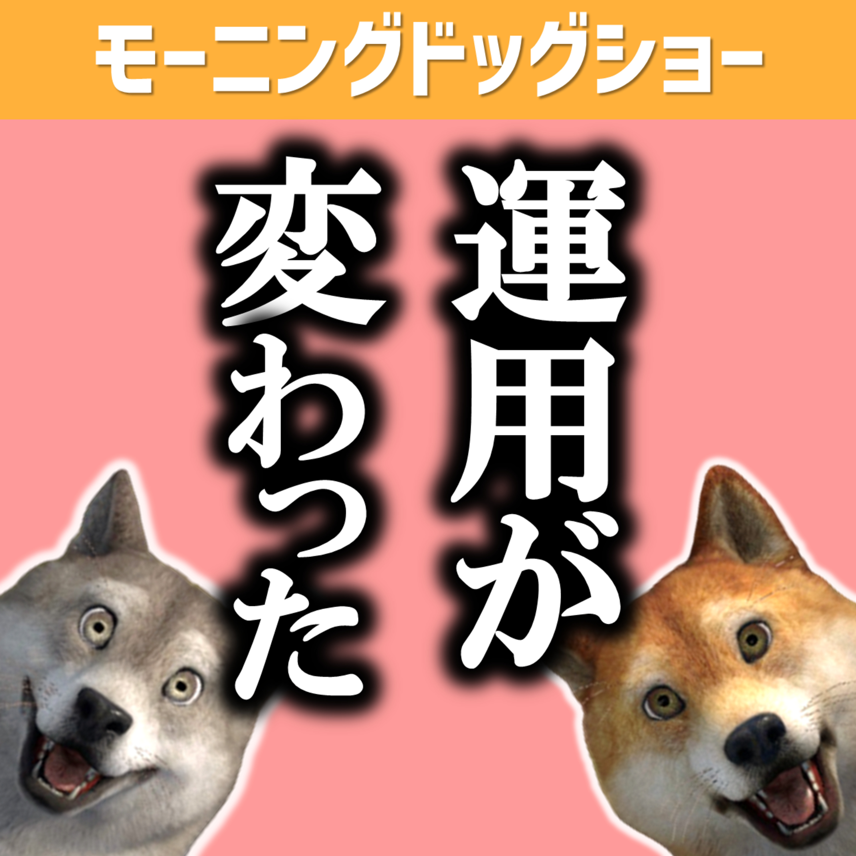 今週の出来事とお知らせ episode artwork