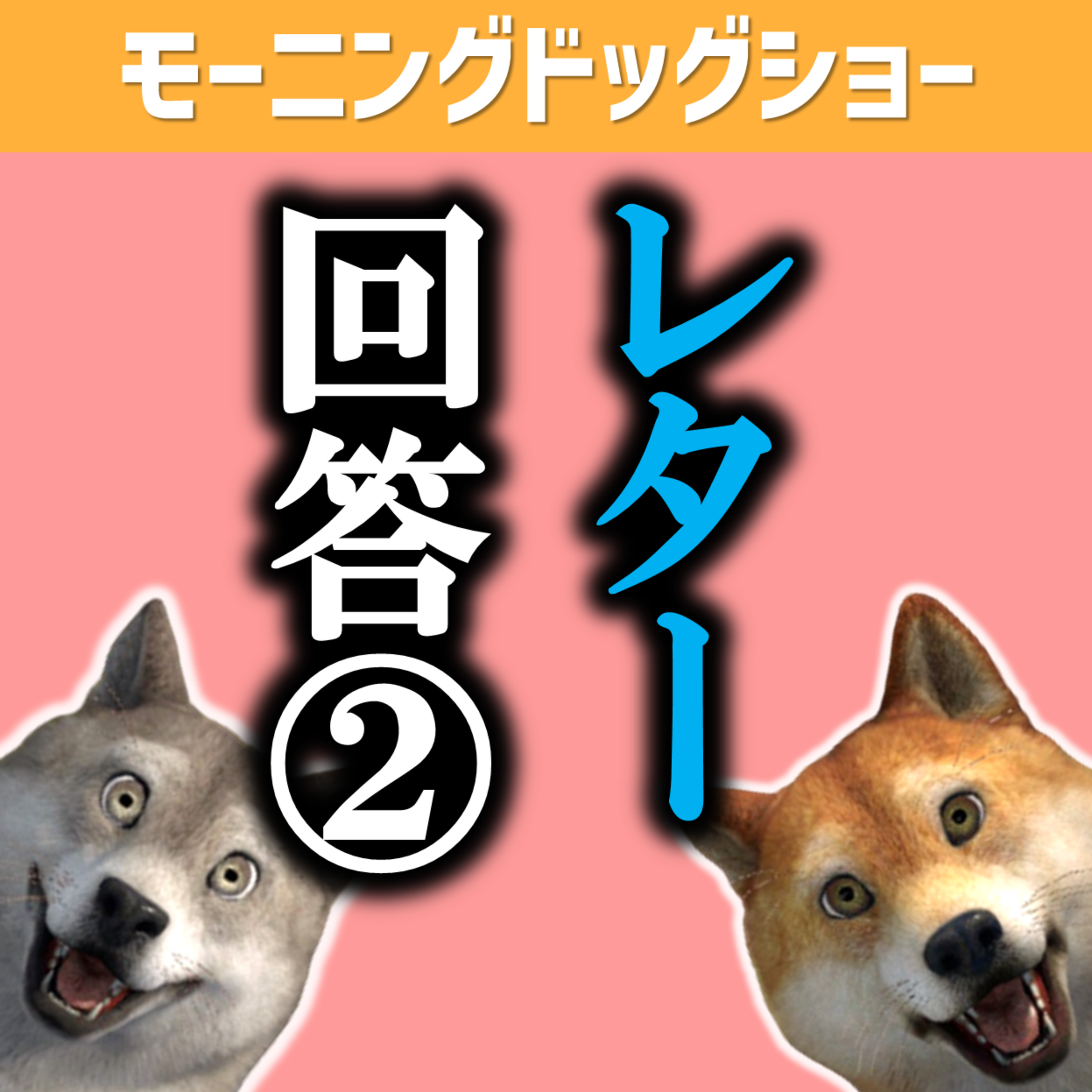 【レター回答②】晴れた日に思うことはなんですか？ episode artwork