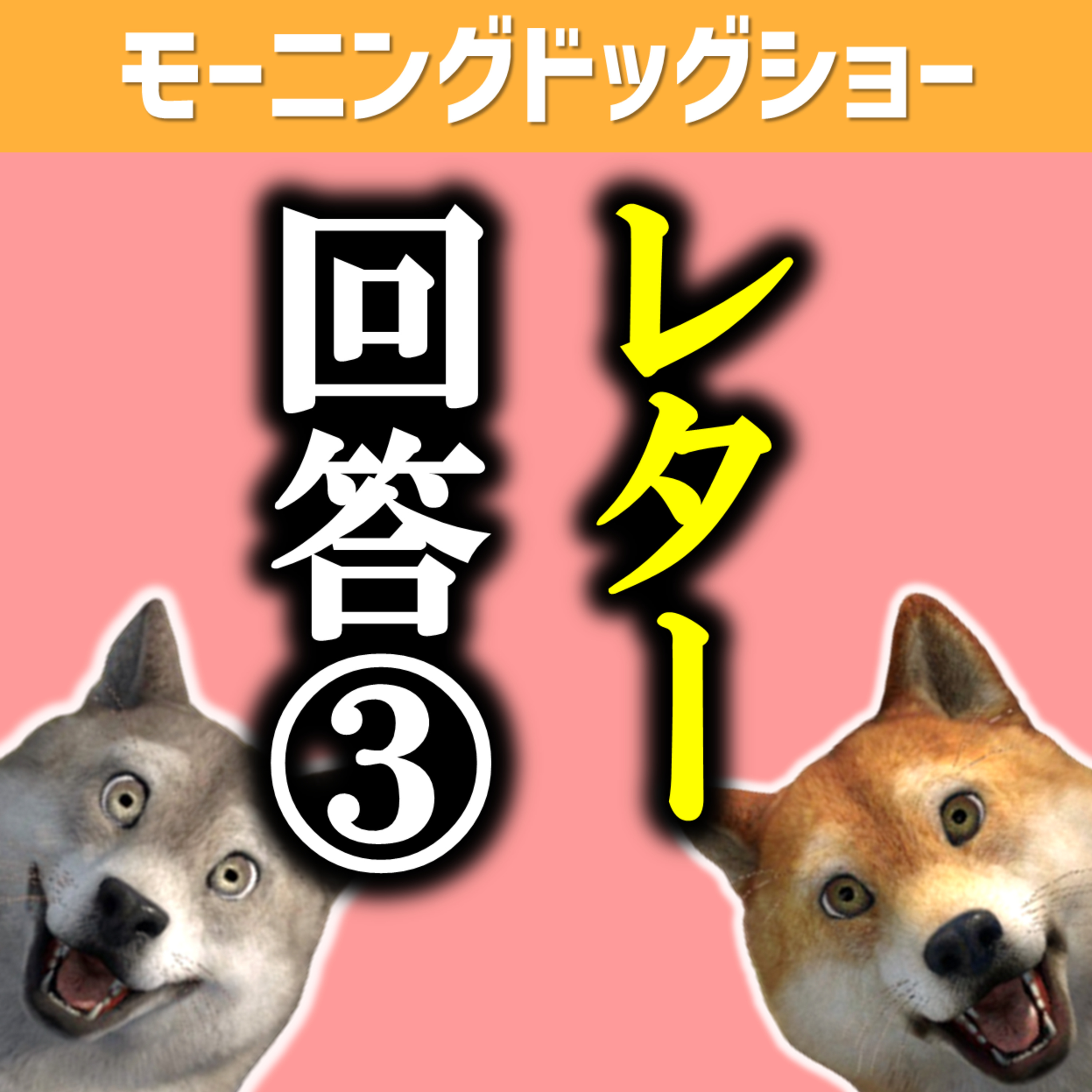 【レター回答③】晴れた日に思うことはなんですか？ episode artwork