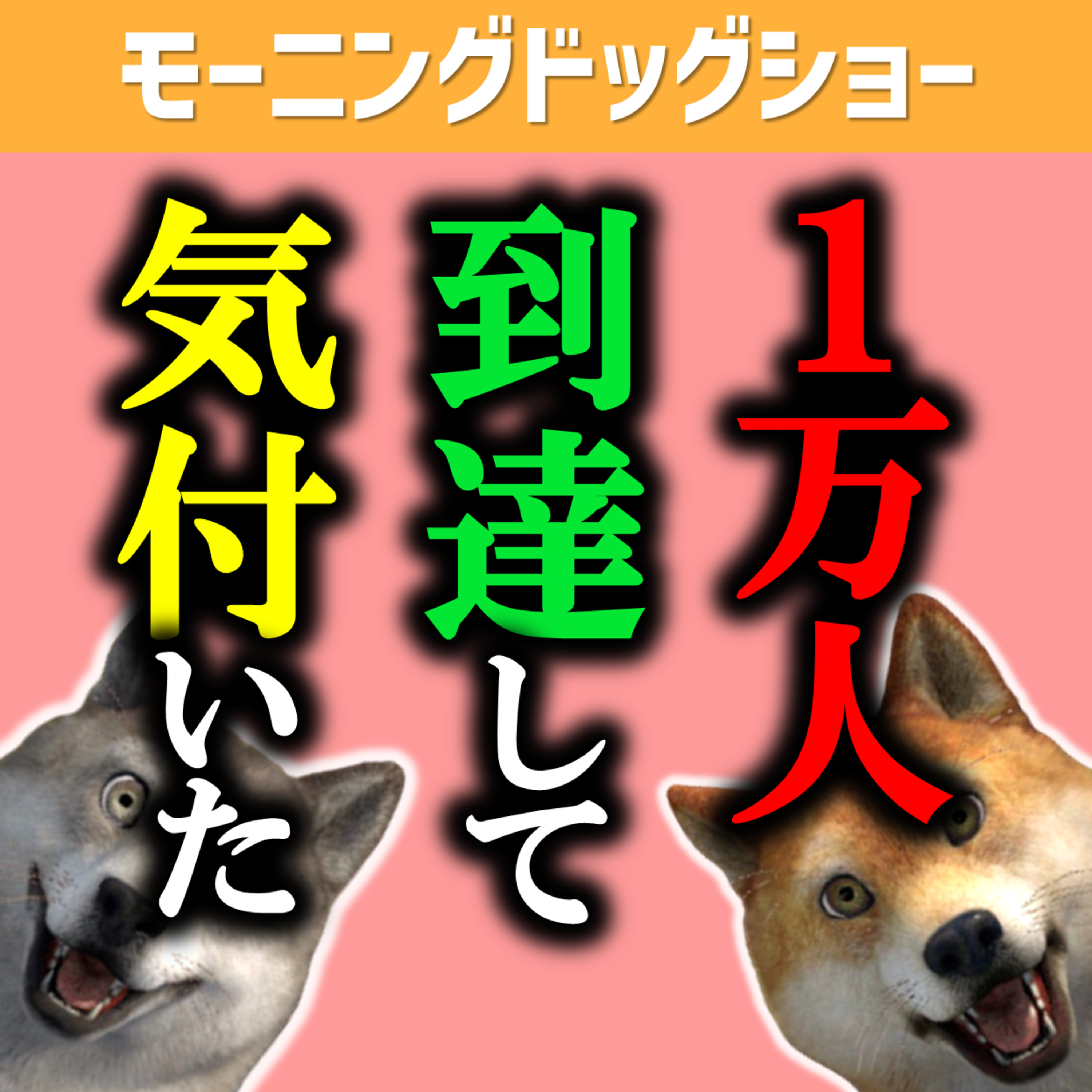 【３年間】1万人に到達して気付いた話す上で最も大切なこと episode artwork