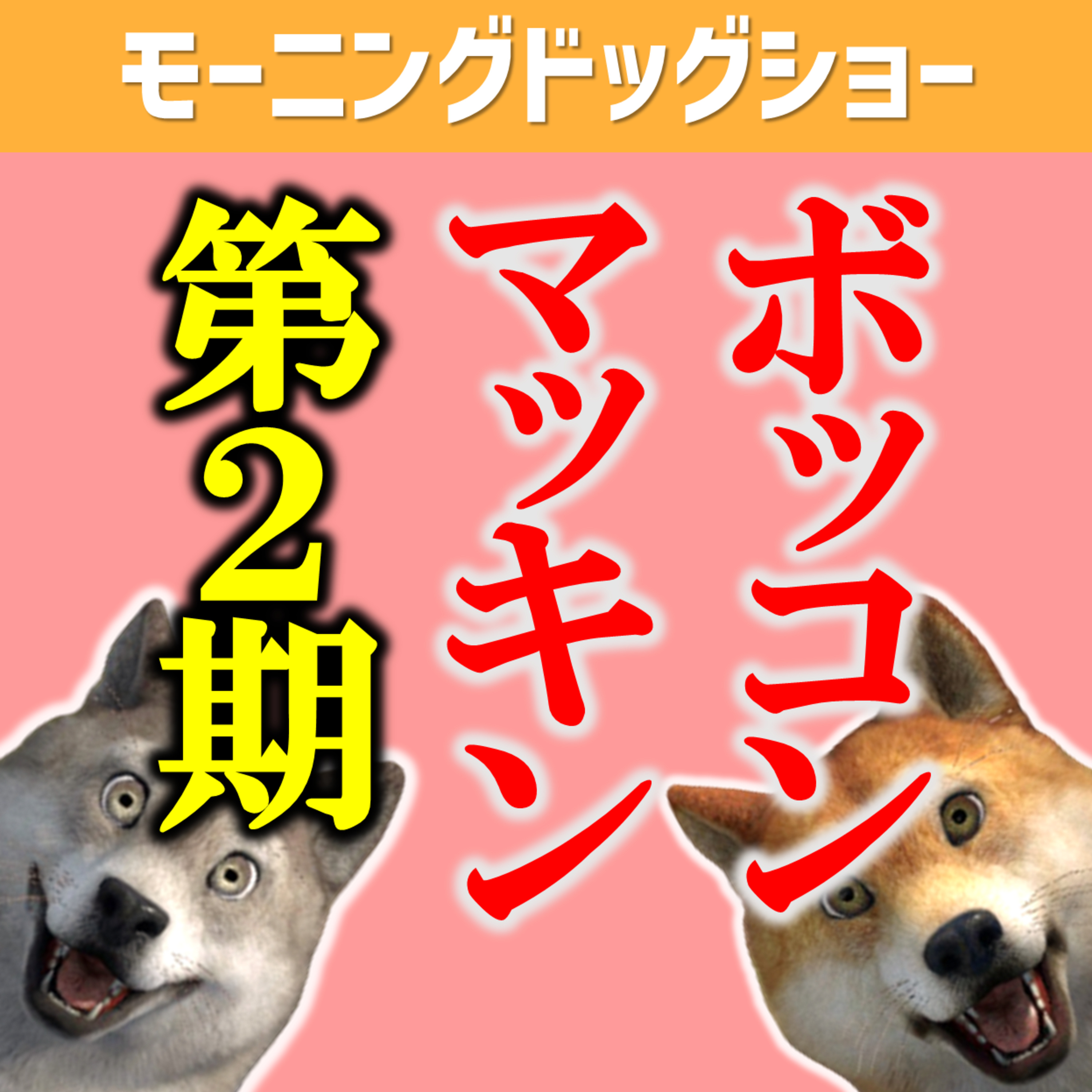  ボッコンマッキン第２期募集開始します！ episode artwork