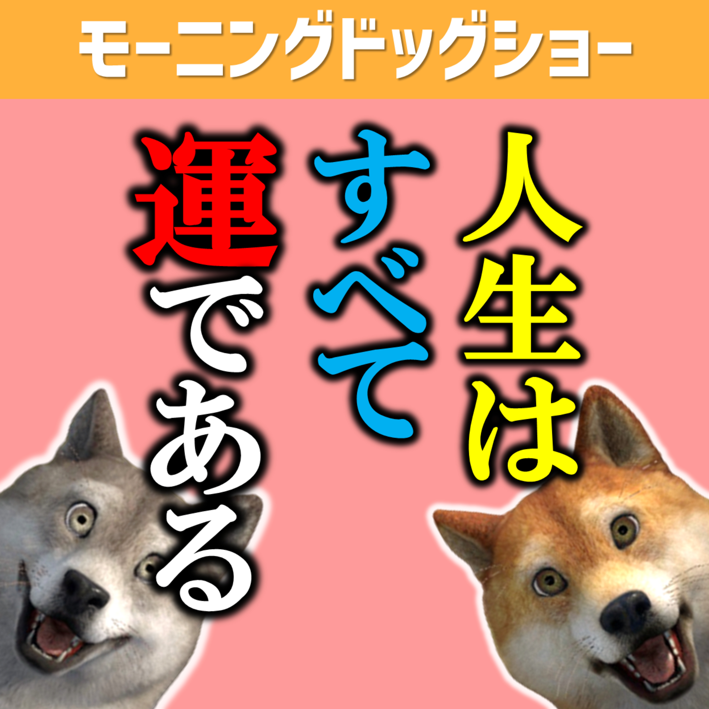 人生は全て運である episode artwork