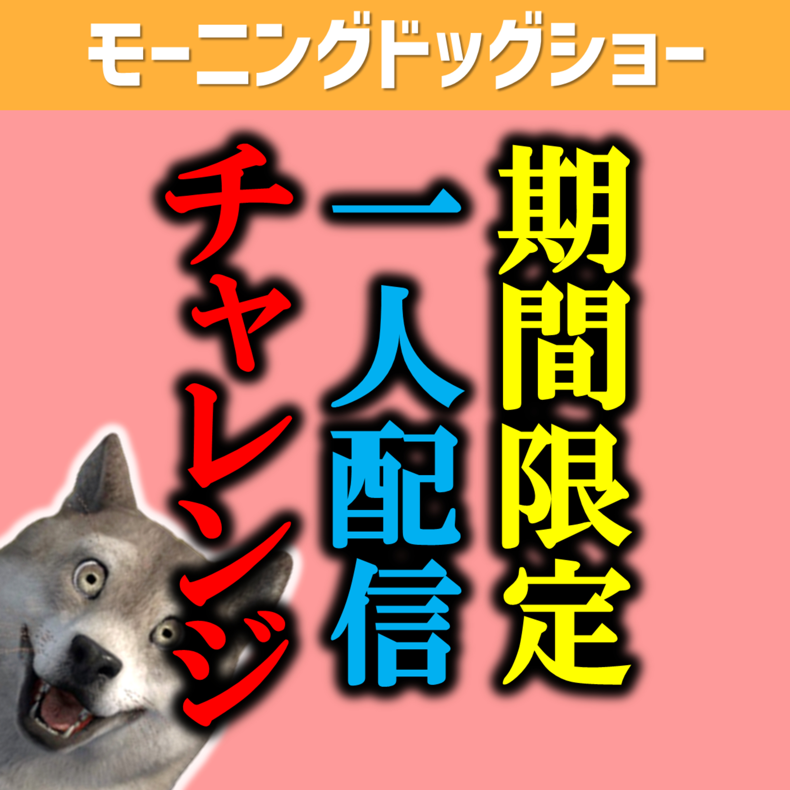 【チャレンジ企画】一人で企画考えて配信していきます。 episode artwork