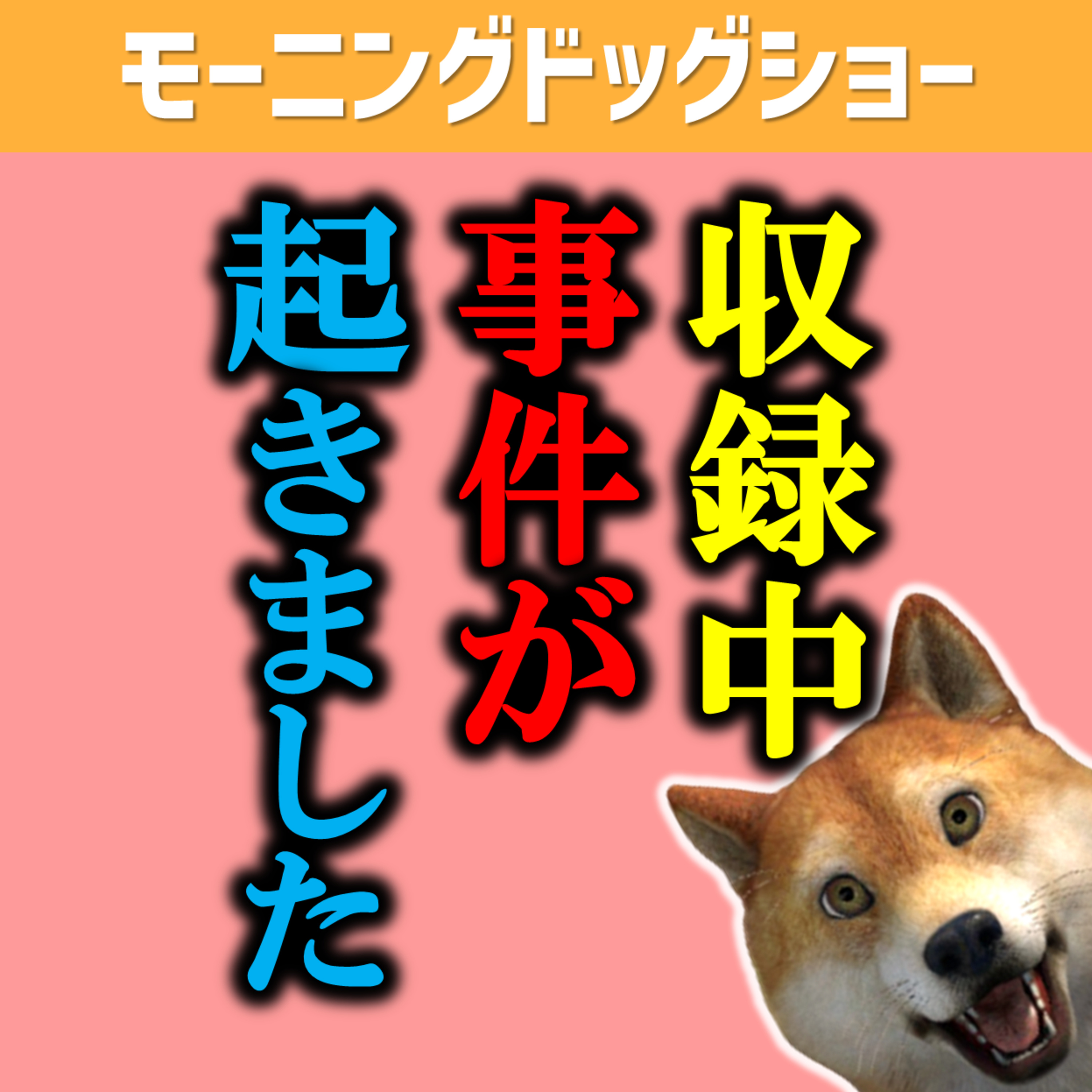【事件】収録中に事件が起きたので解決しました。 episode artwork