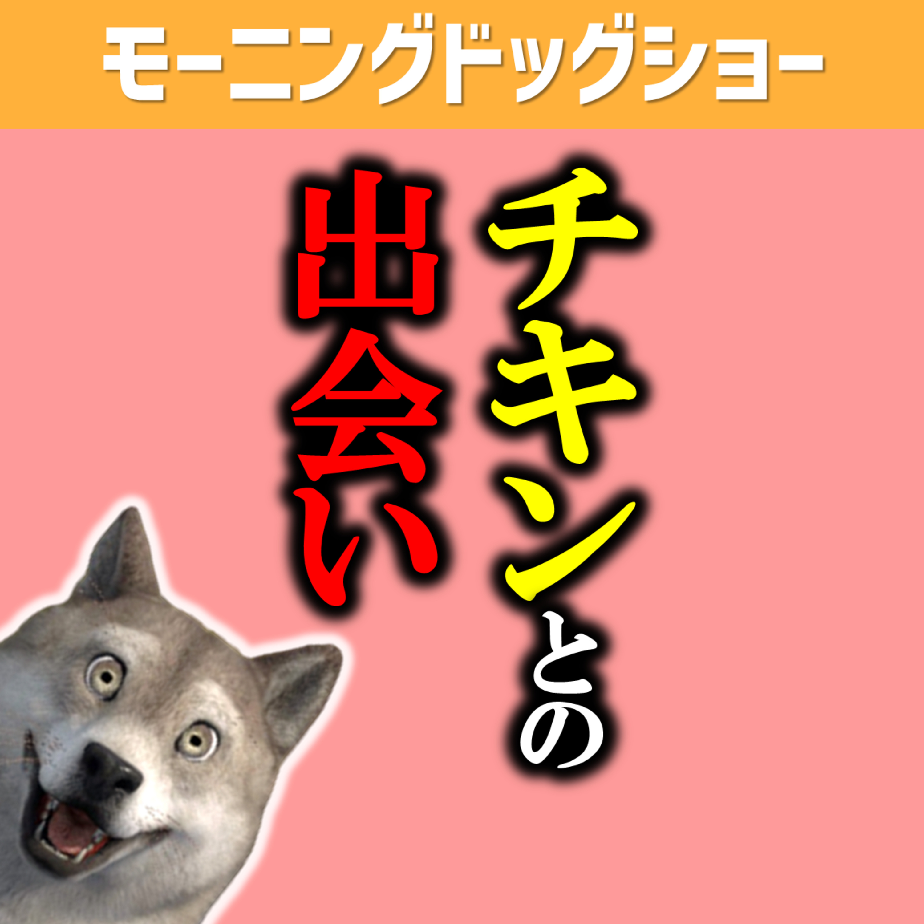 【軌跡】チキンと出会って配信を始めるまで episode artwork