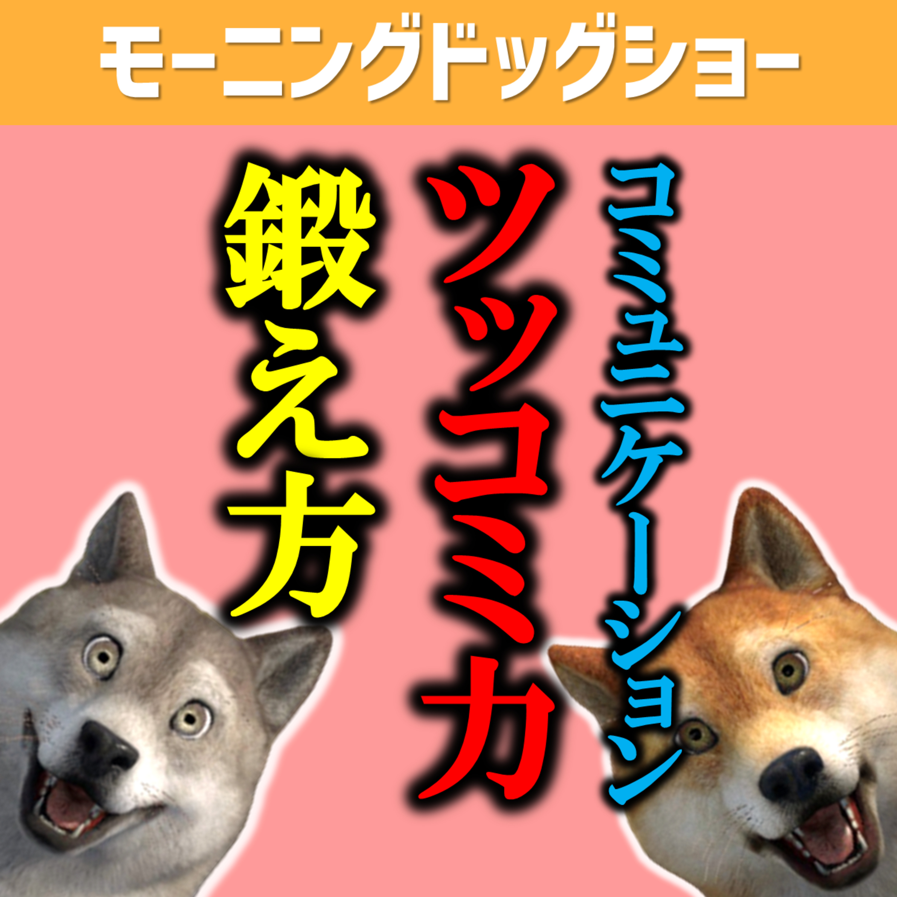 【コミュ力】身につけておいた方がいいツッコミ力を鍛えるための心構え episode artwork