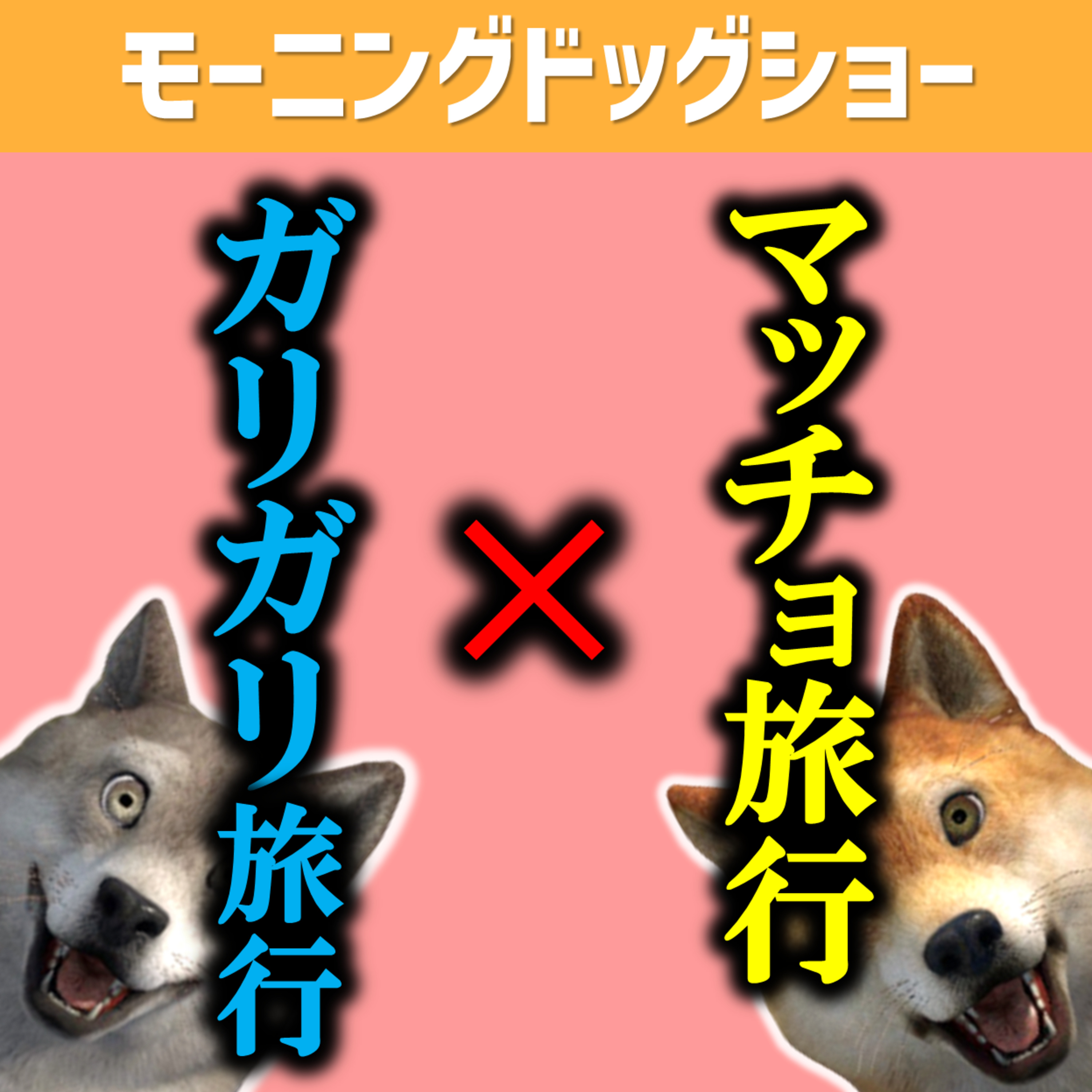 マッチョとガリガリ、旅行にいくならどっち？！ episode artwork