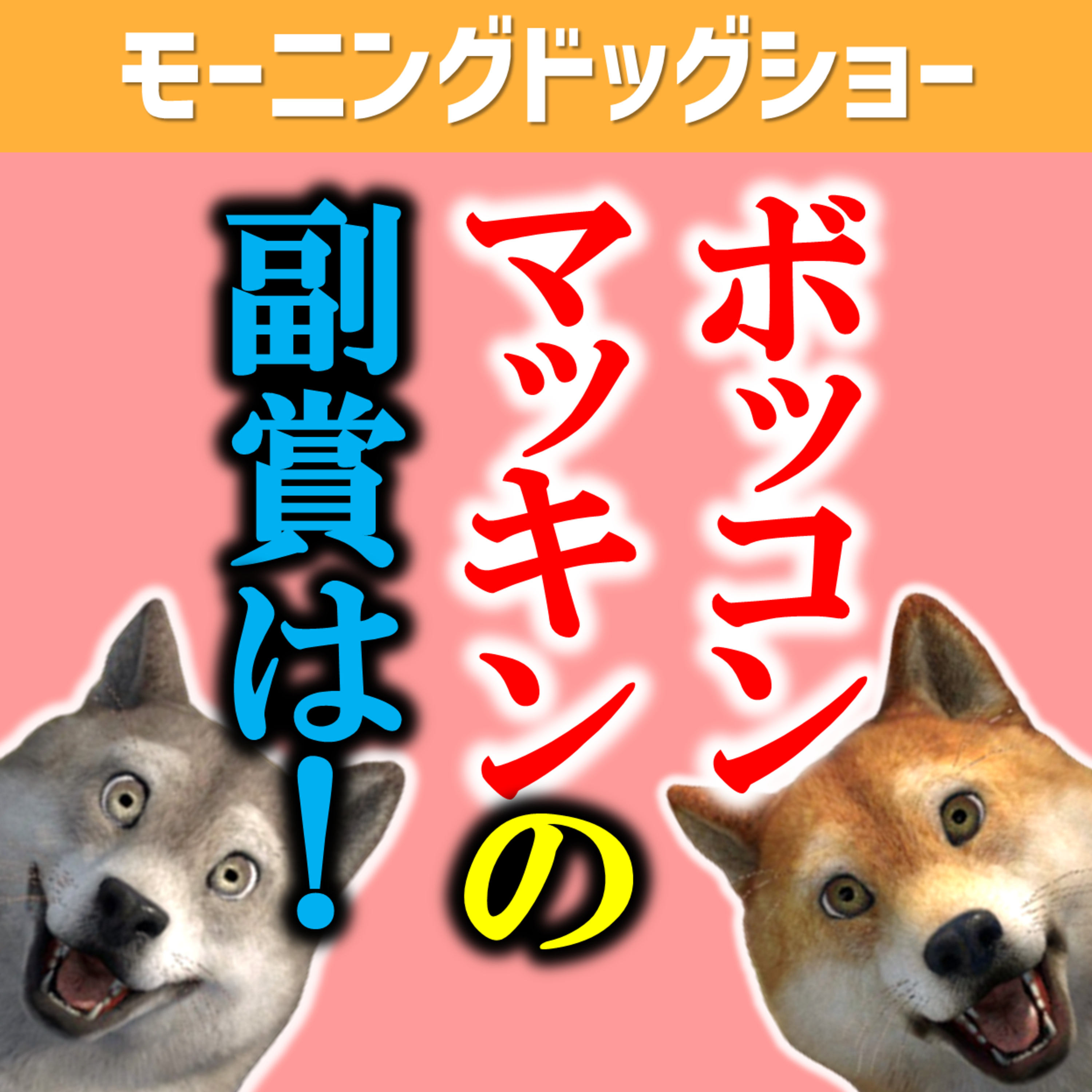 リクエストいただいた副賞を検討した結果...。 episode artwork