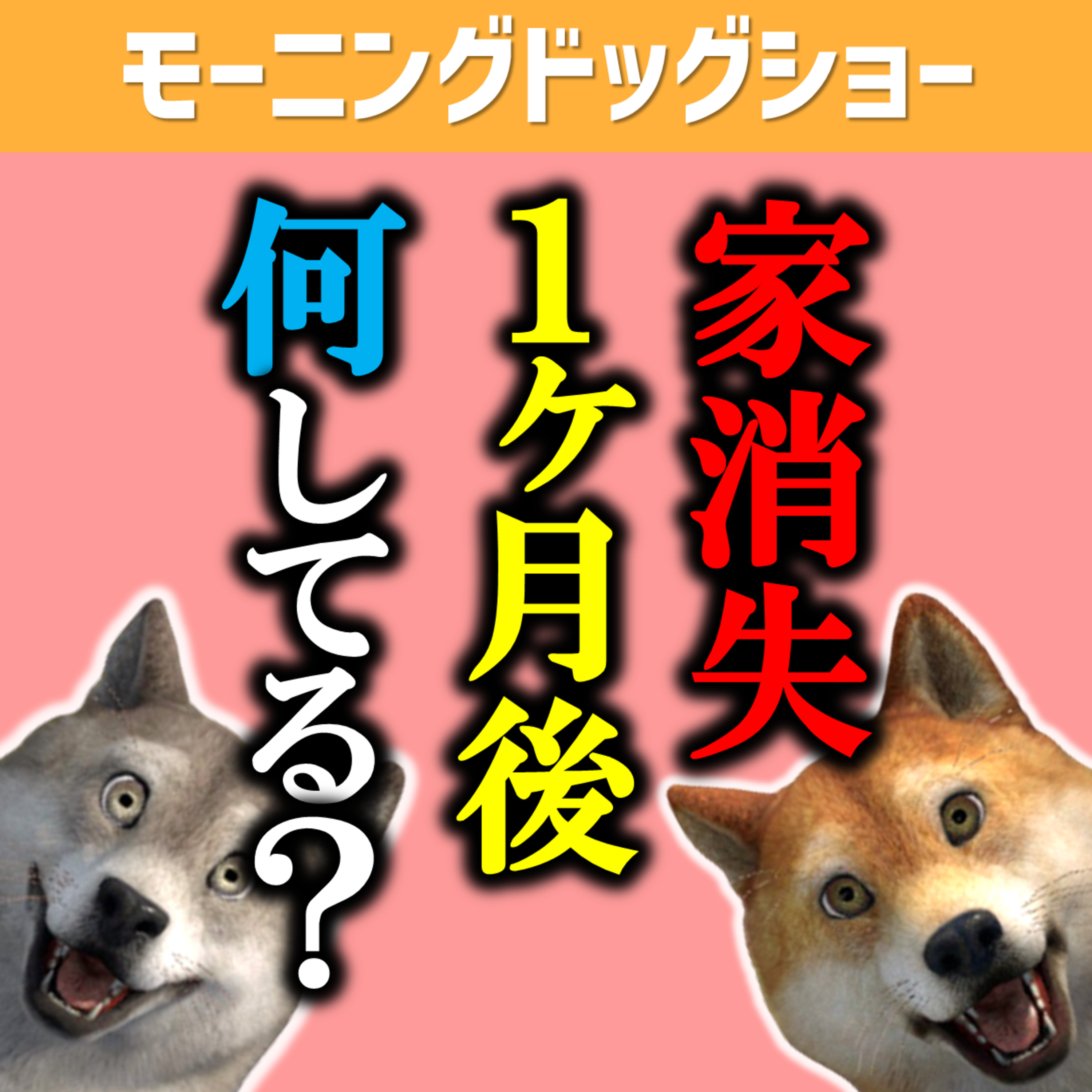 【考察】家が突然なくなって1ヶ月後何をしているか？ episode artwork