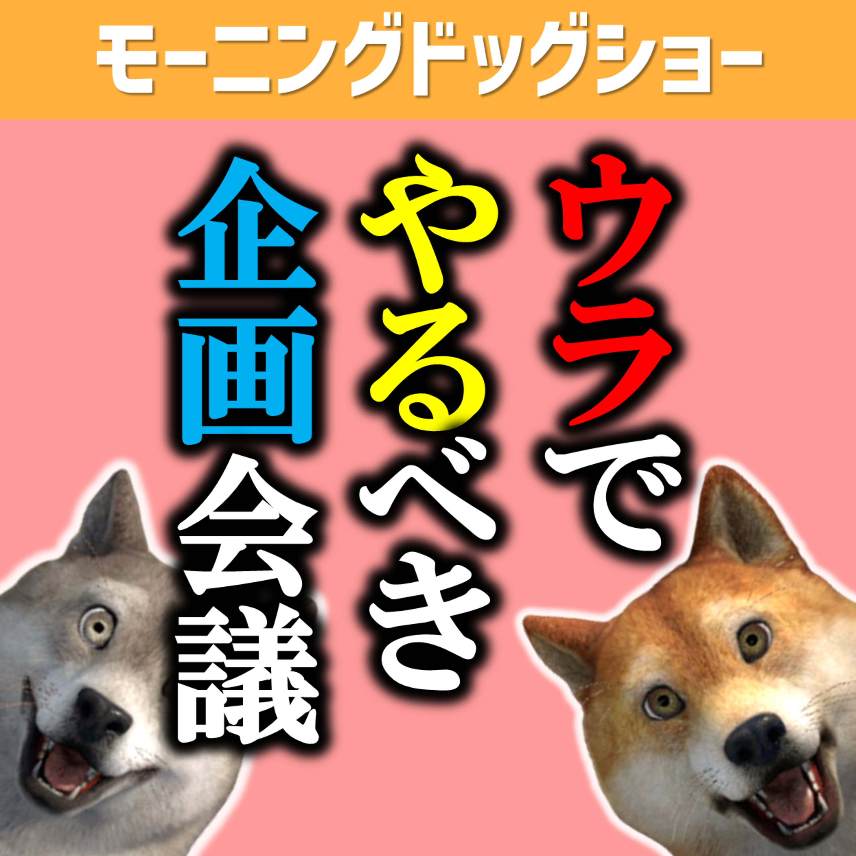 【裏企画会議】撮影スタジオの物件を探してるんですんが episode artwork
