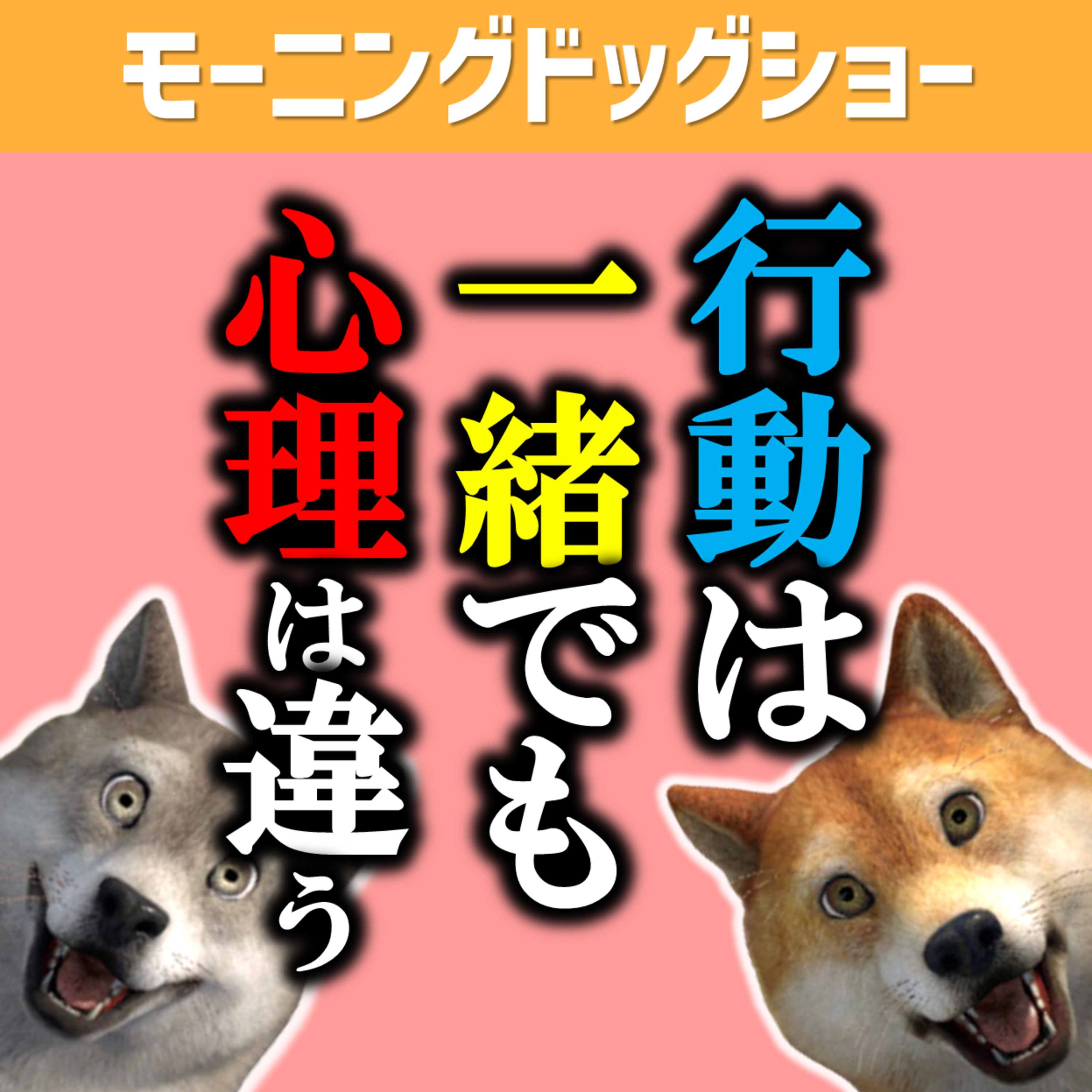 【人間心理】歯がガタガタのおっさんに対する行動と心理 episode artwork