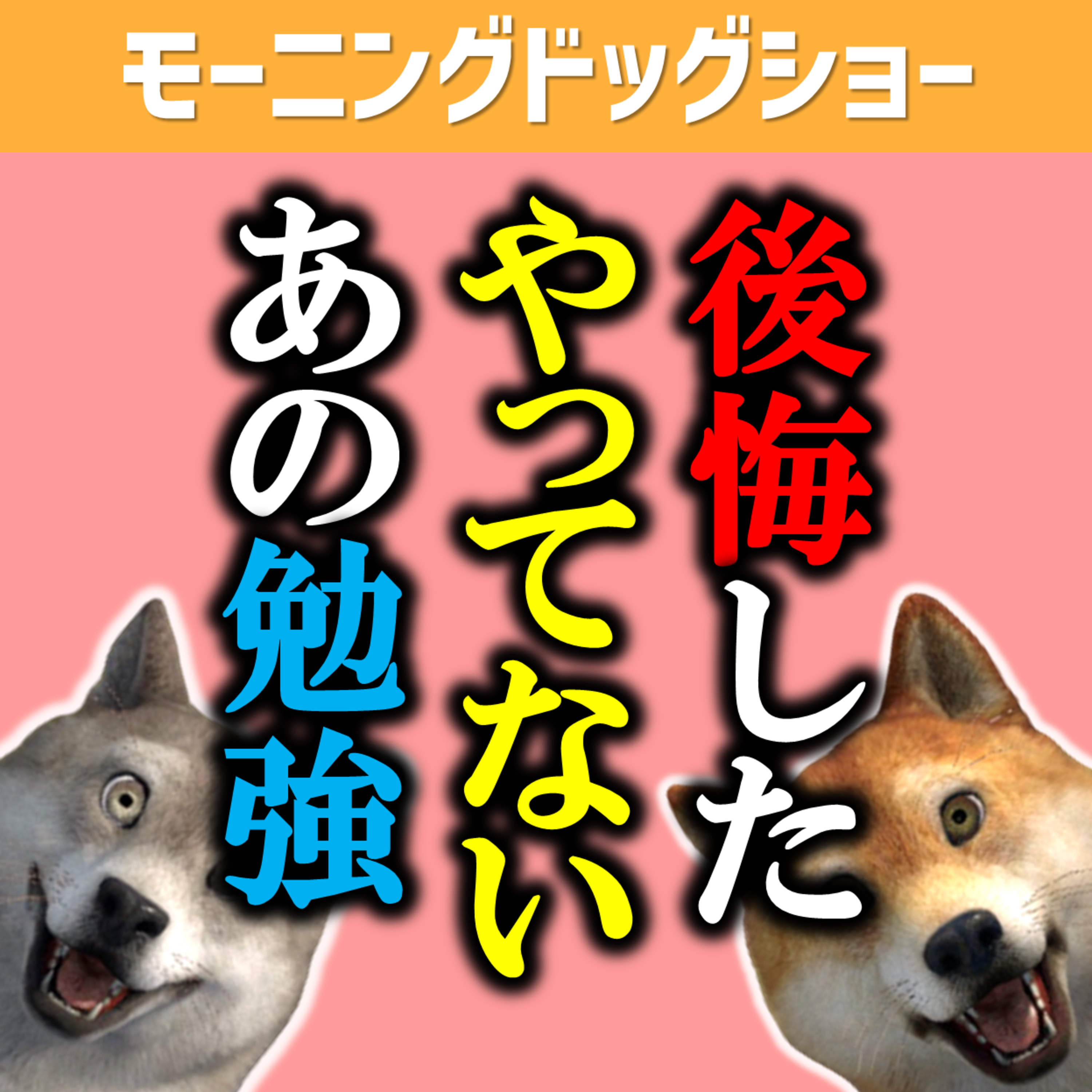 【後悔】20歳に戻れたら、どんな勉強をはじめますか？ episode artwork