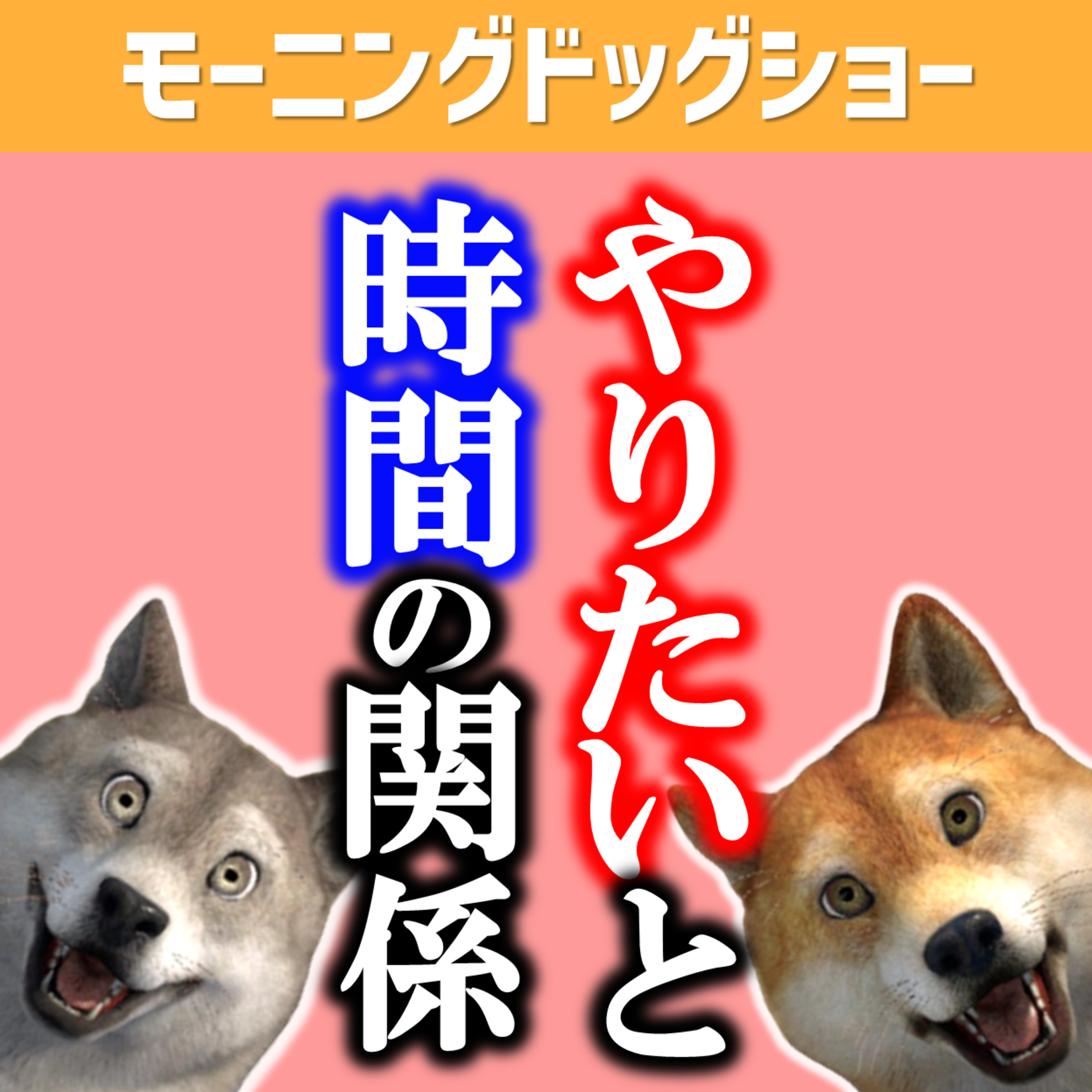  時間が倍でやりたいことができないor時間が半分でやりたいことができる episode artwork