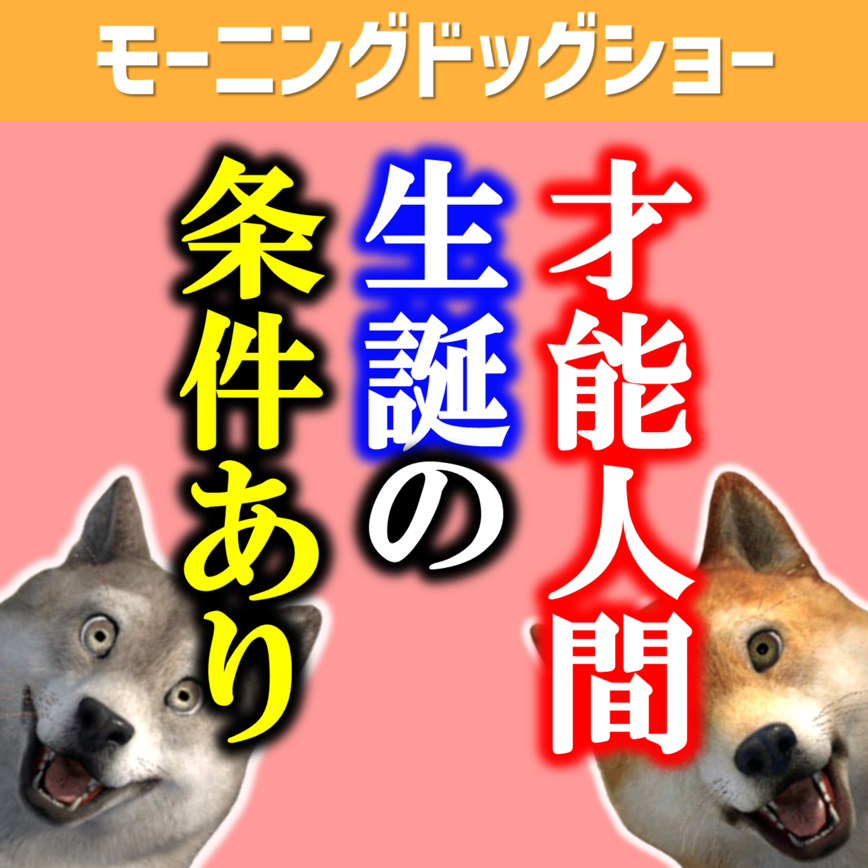 日本で才能ある人が生まれない理由 episode artwork