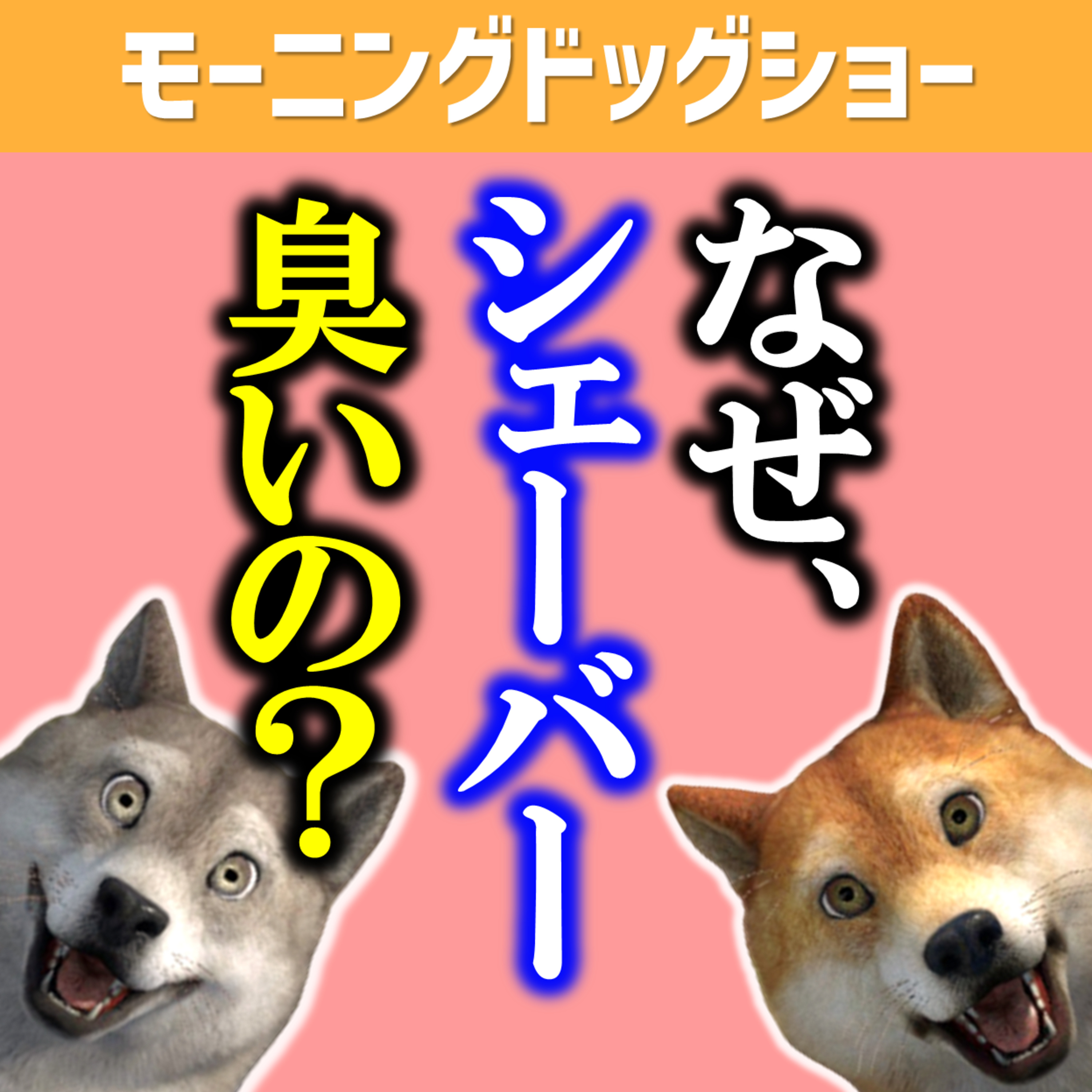 なぜシェーバー（ひげ剃り）が臭いのか考えよう episode artwork