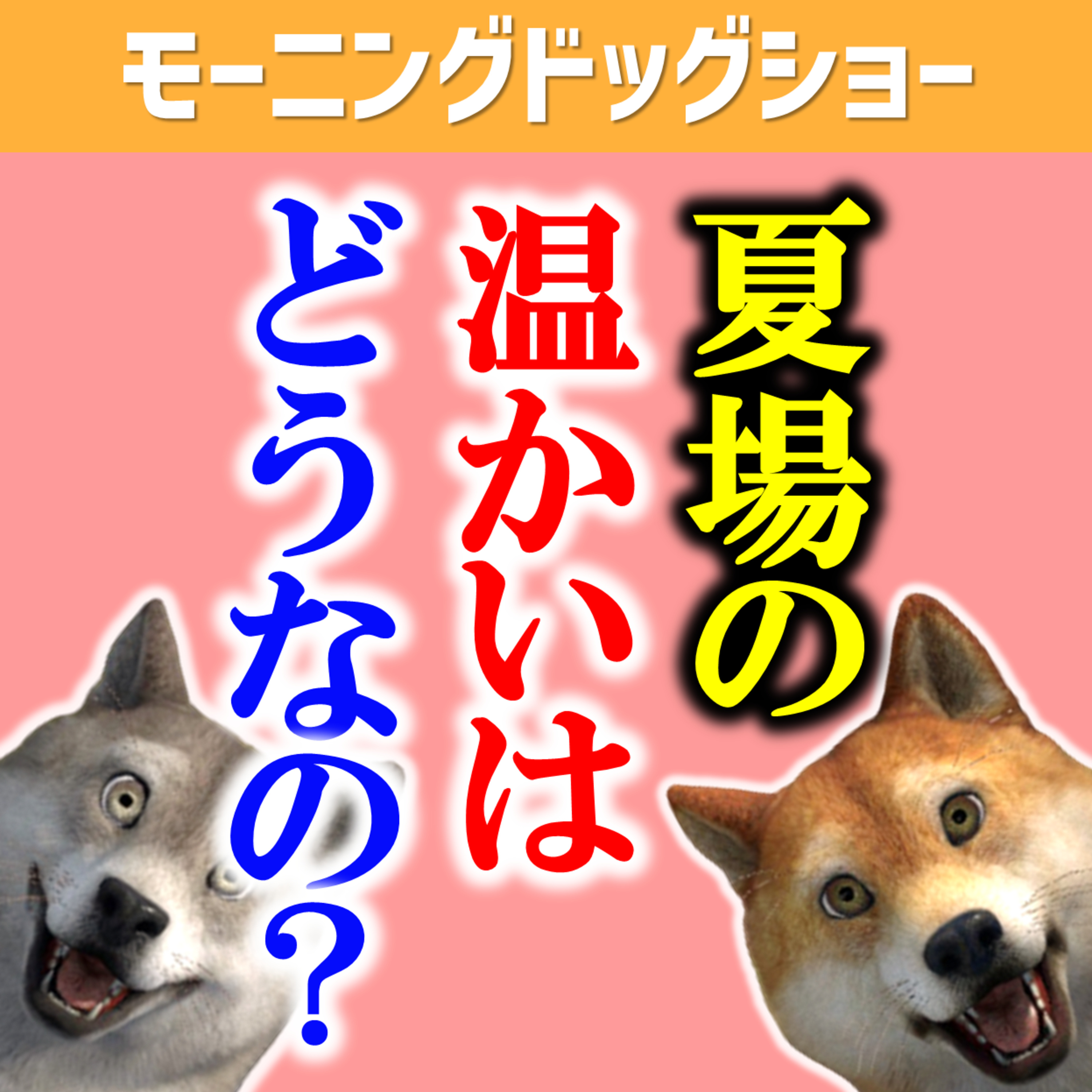 夏のあったか～いコーナーはもったない episode artwork