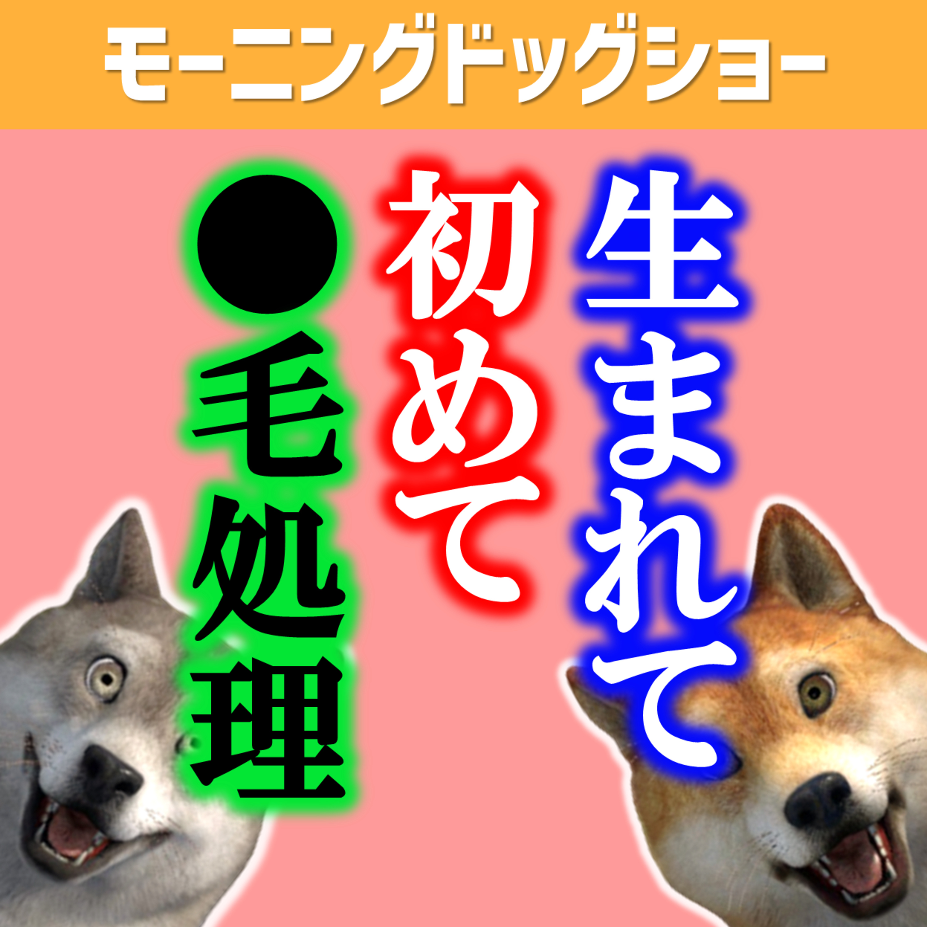 生まれて初めてアソコの毛を剃った結果 episode artwork