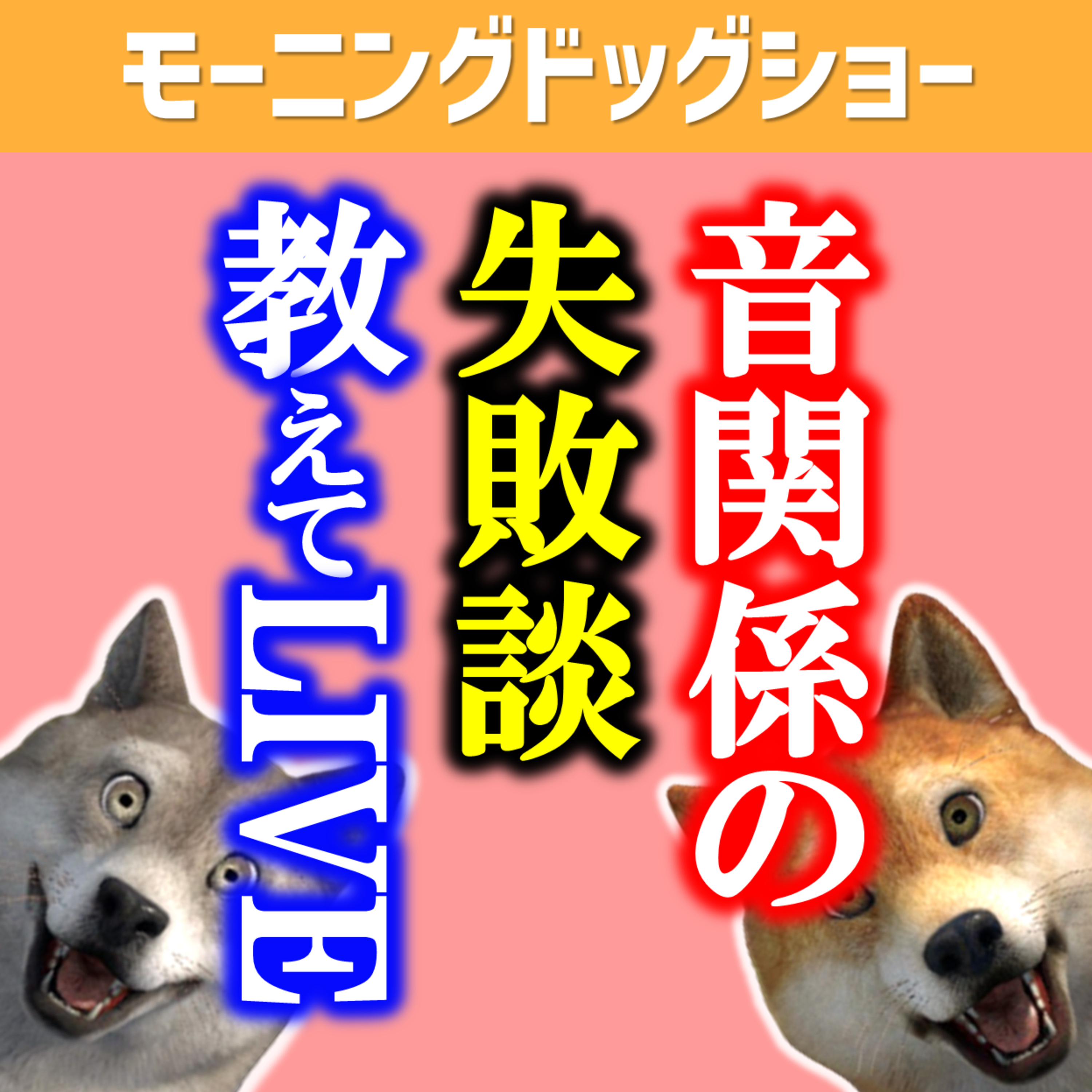 【LIVE12:20-12:40】音関係の失敗談を披露するLIVE episode artwork