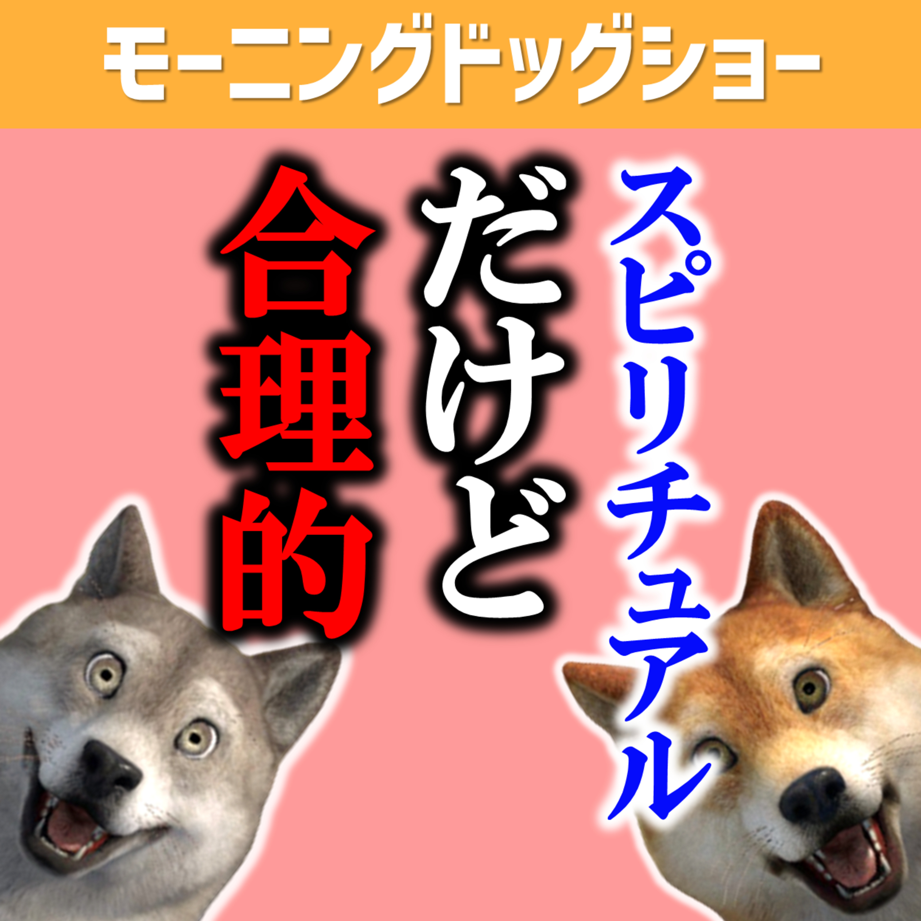 スピリチュアルだけど信じることが合理的な話 episode artwork