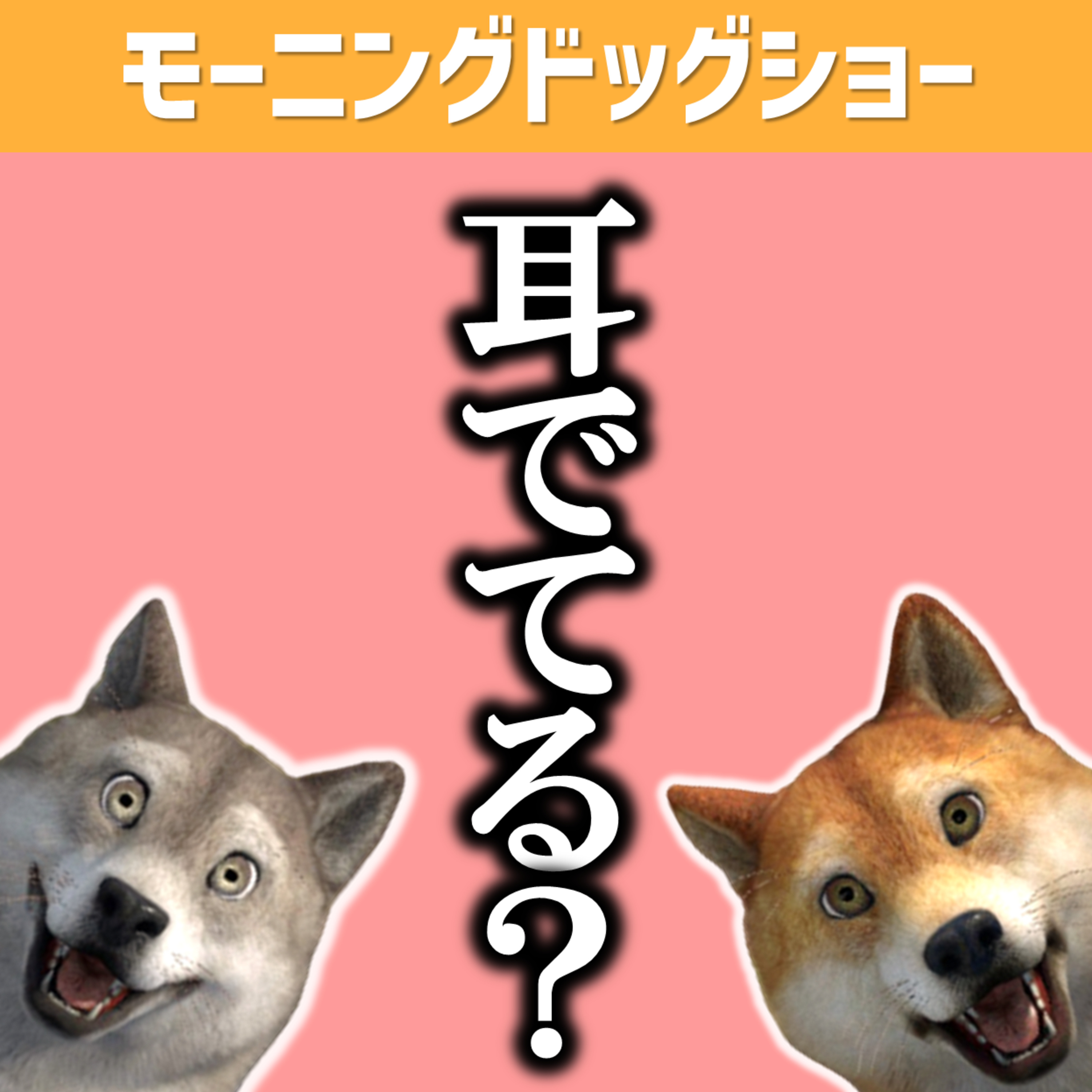 耳でてるか否かLIVEを開催します episode artwork