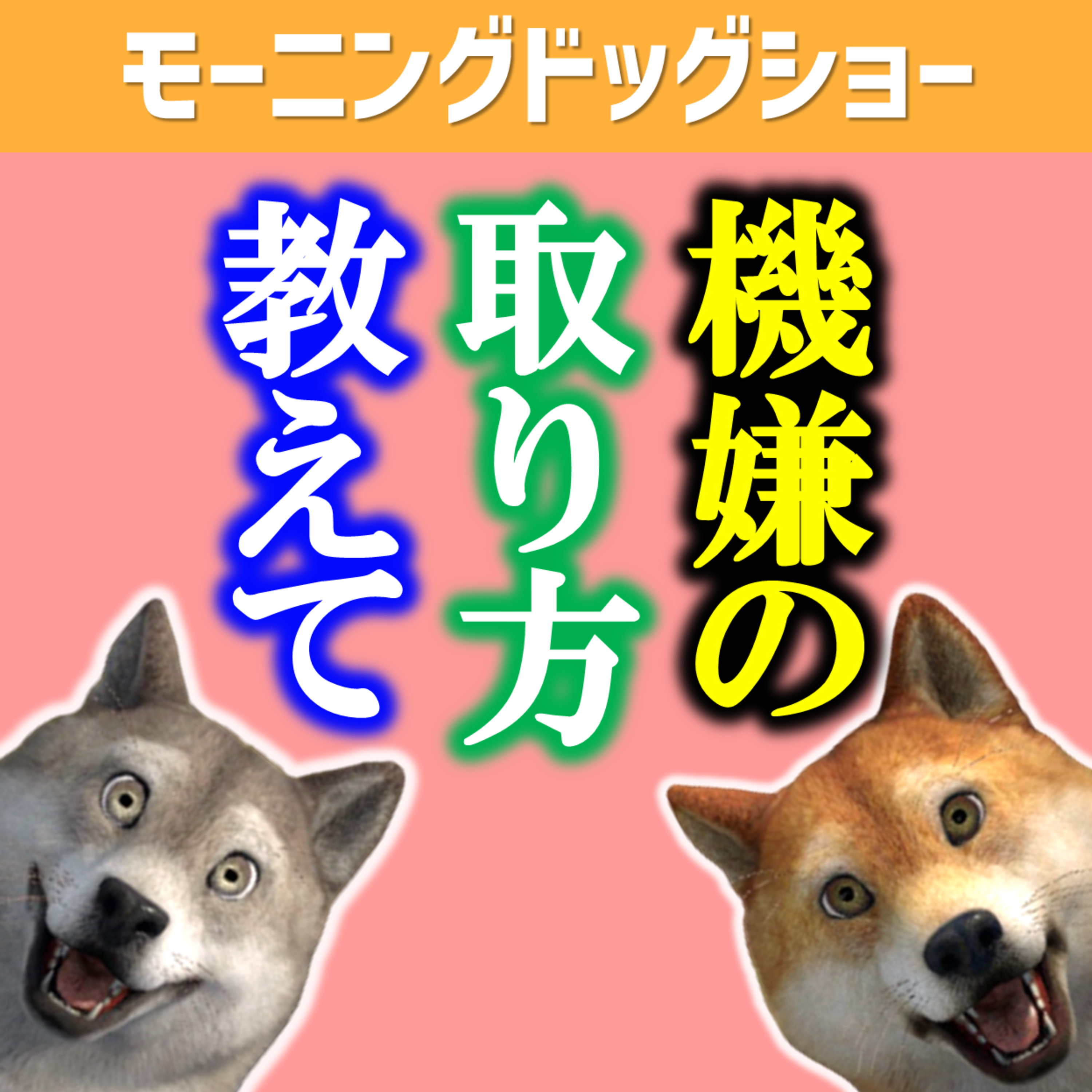 【LIVE告知12:20-12:40】あなたの機嫌の取り方教えてください episode artwork
