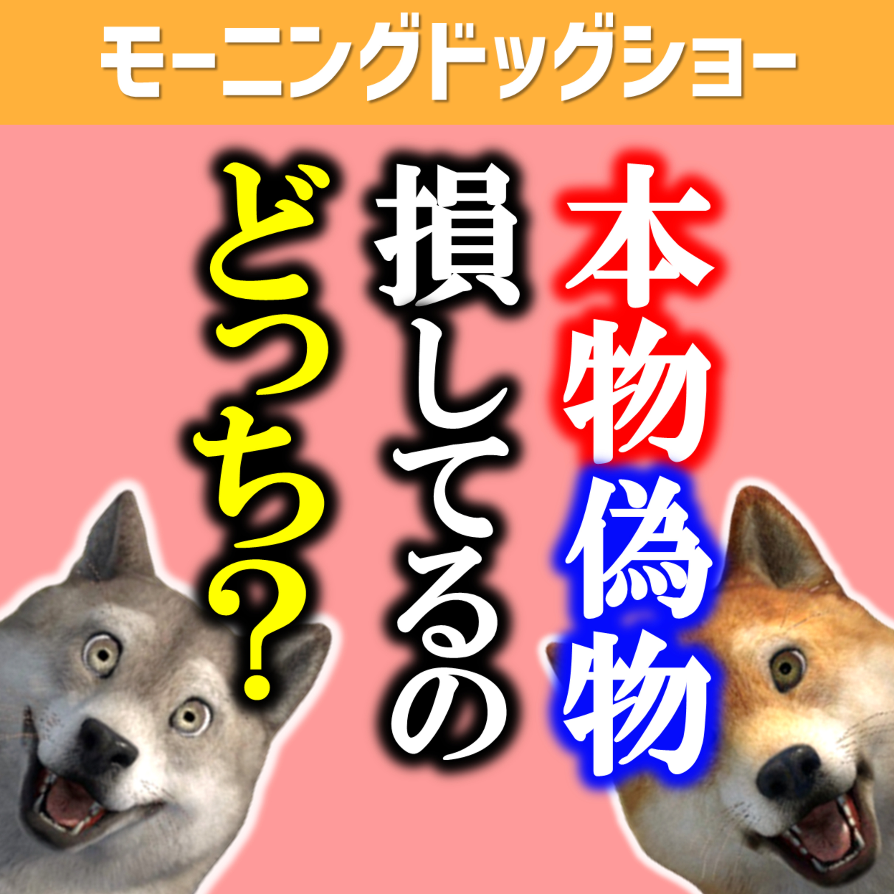 【本物と偽物】頑張ってる人が損をしている？ episode artwork