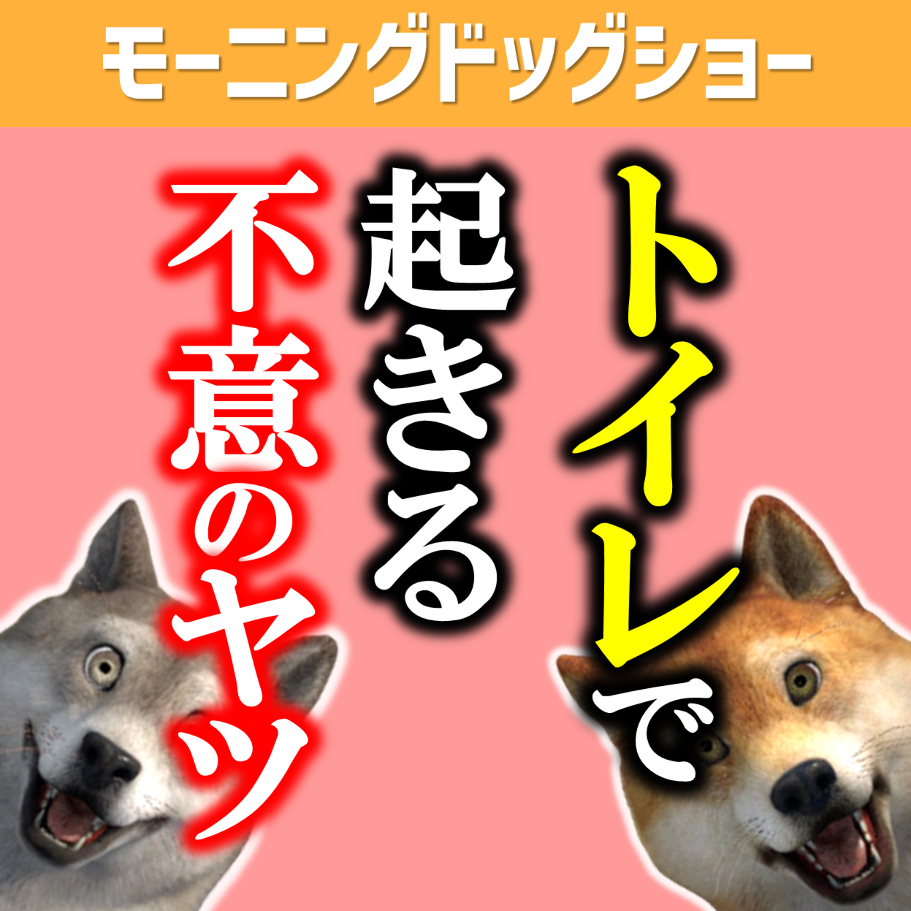 【悲報】トイレで起きる不意打ちあるある episode artwork
