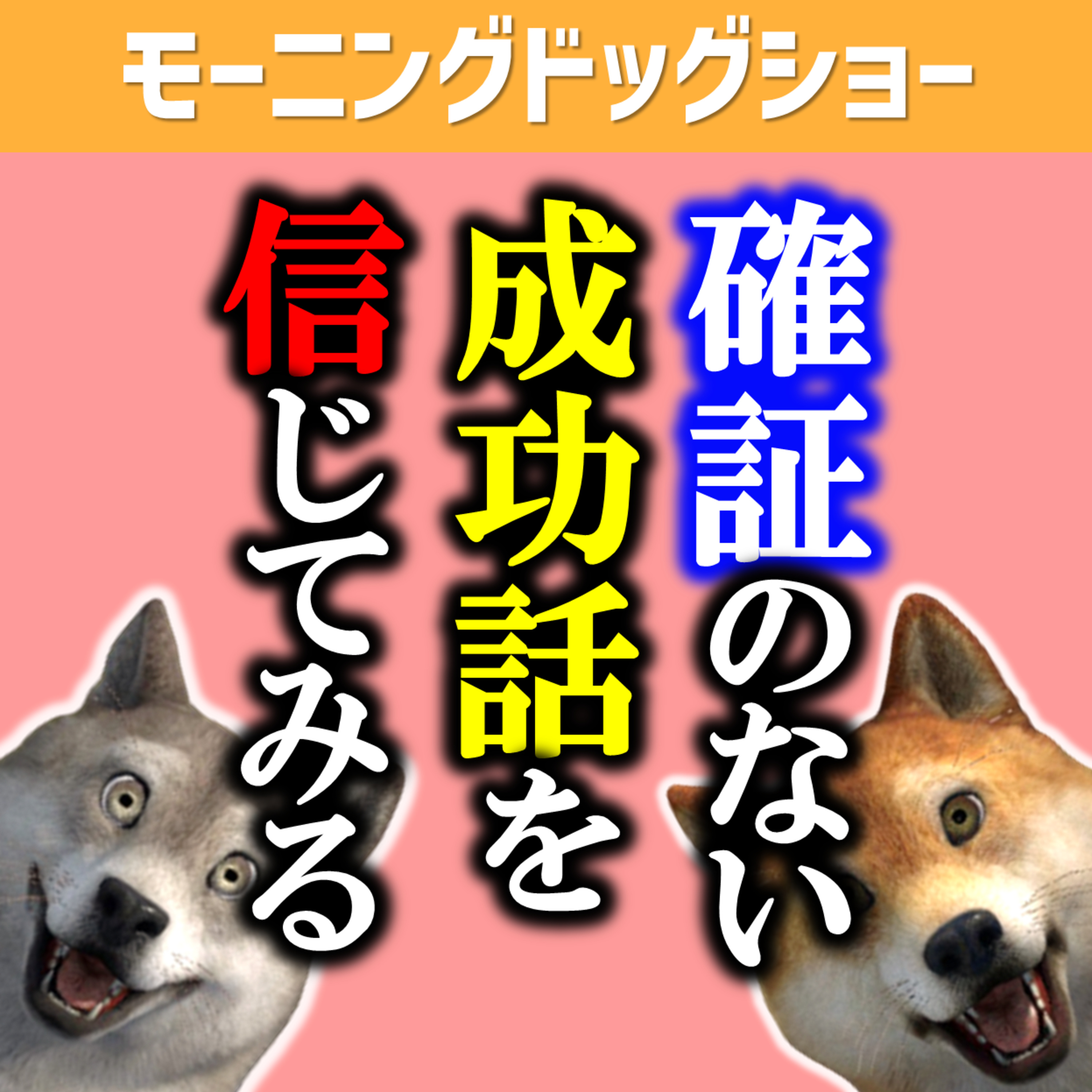 確証のない成功話を信じることは合理的 episode artwork