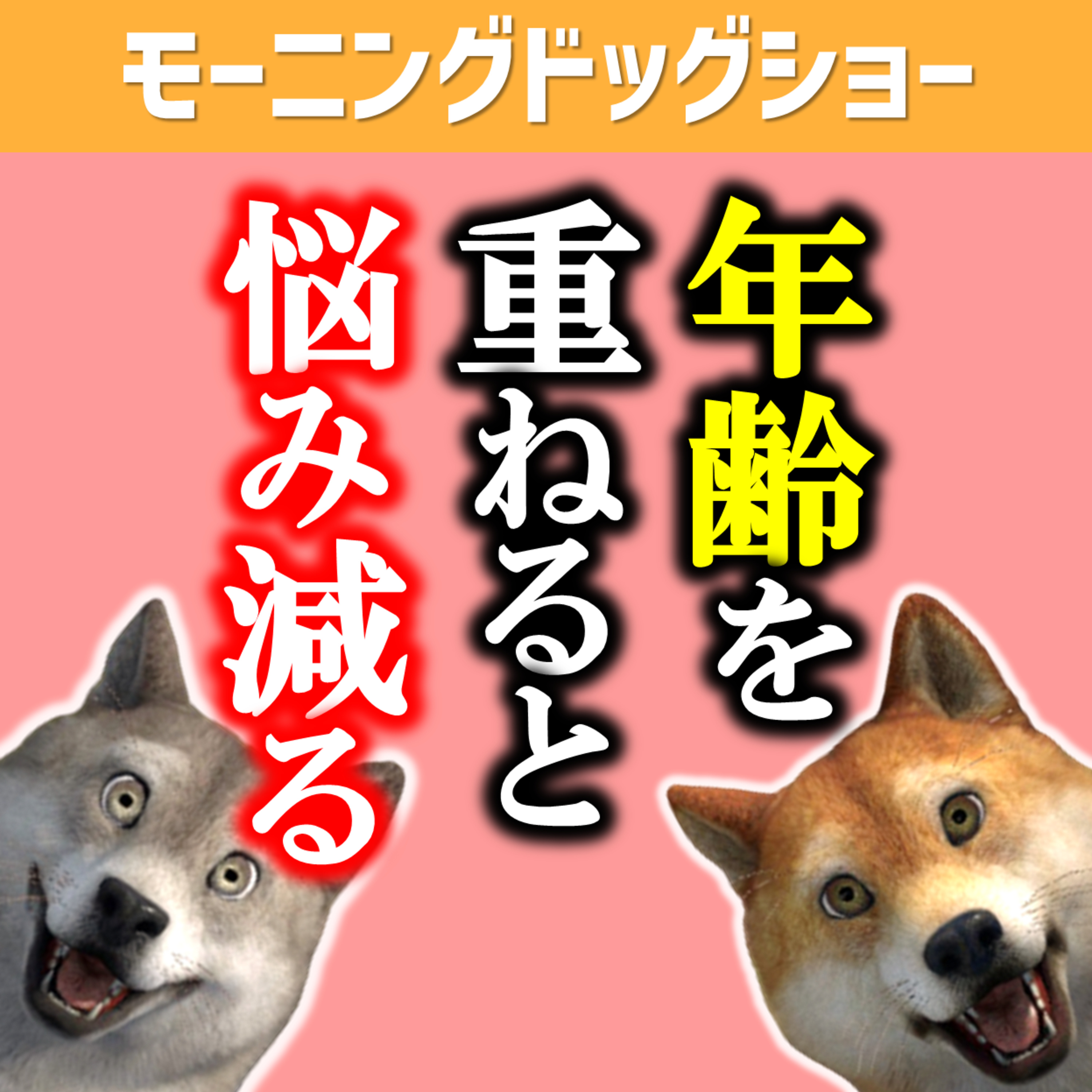 年齢を重ねるごとに悩みが減っていく理由とは？ episode artwork