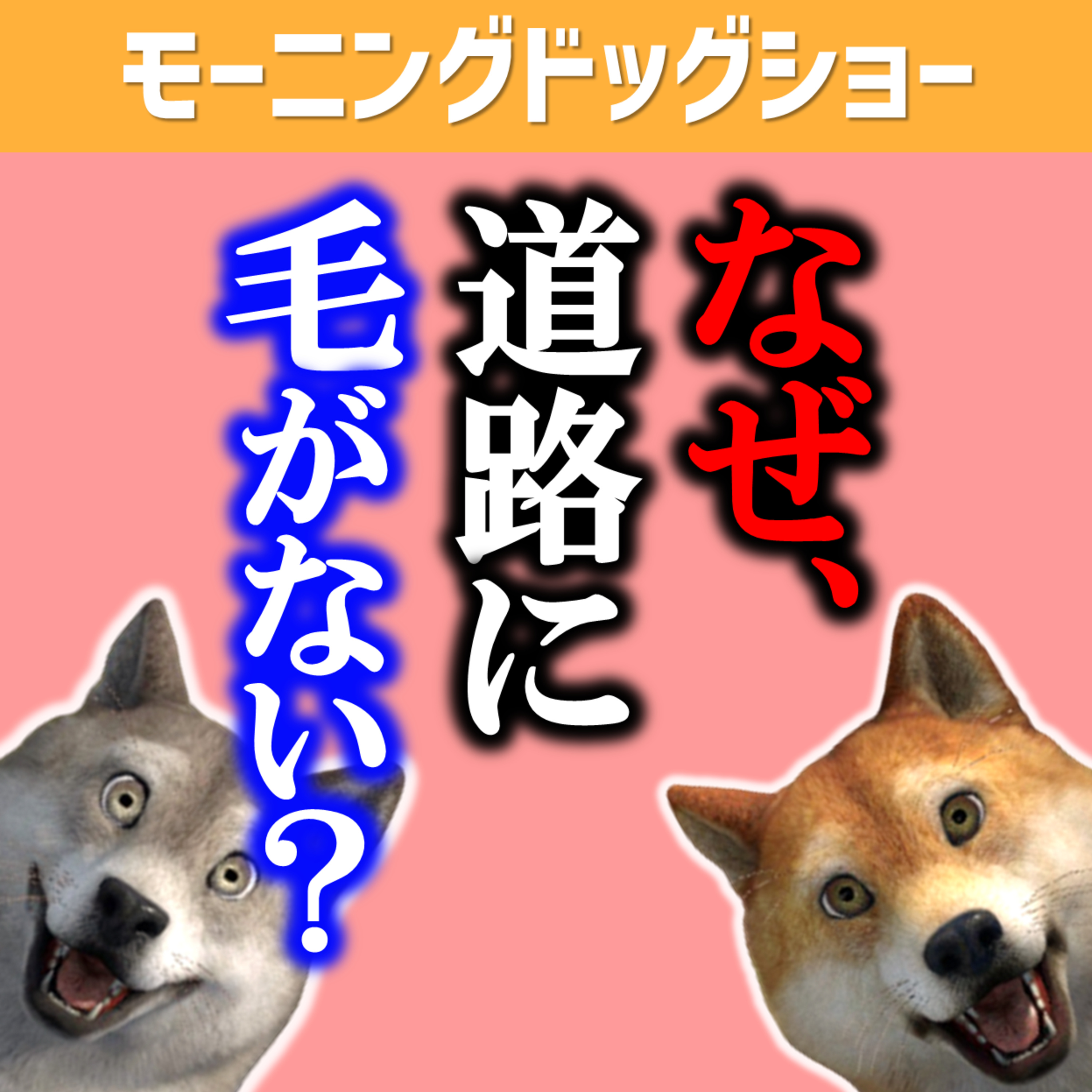 なぜ、道路は毛だらけじゃないのか？ episode artwork