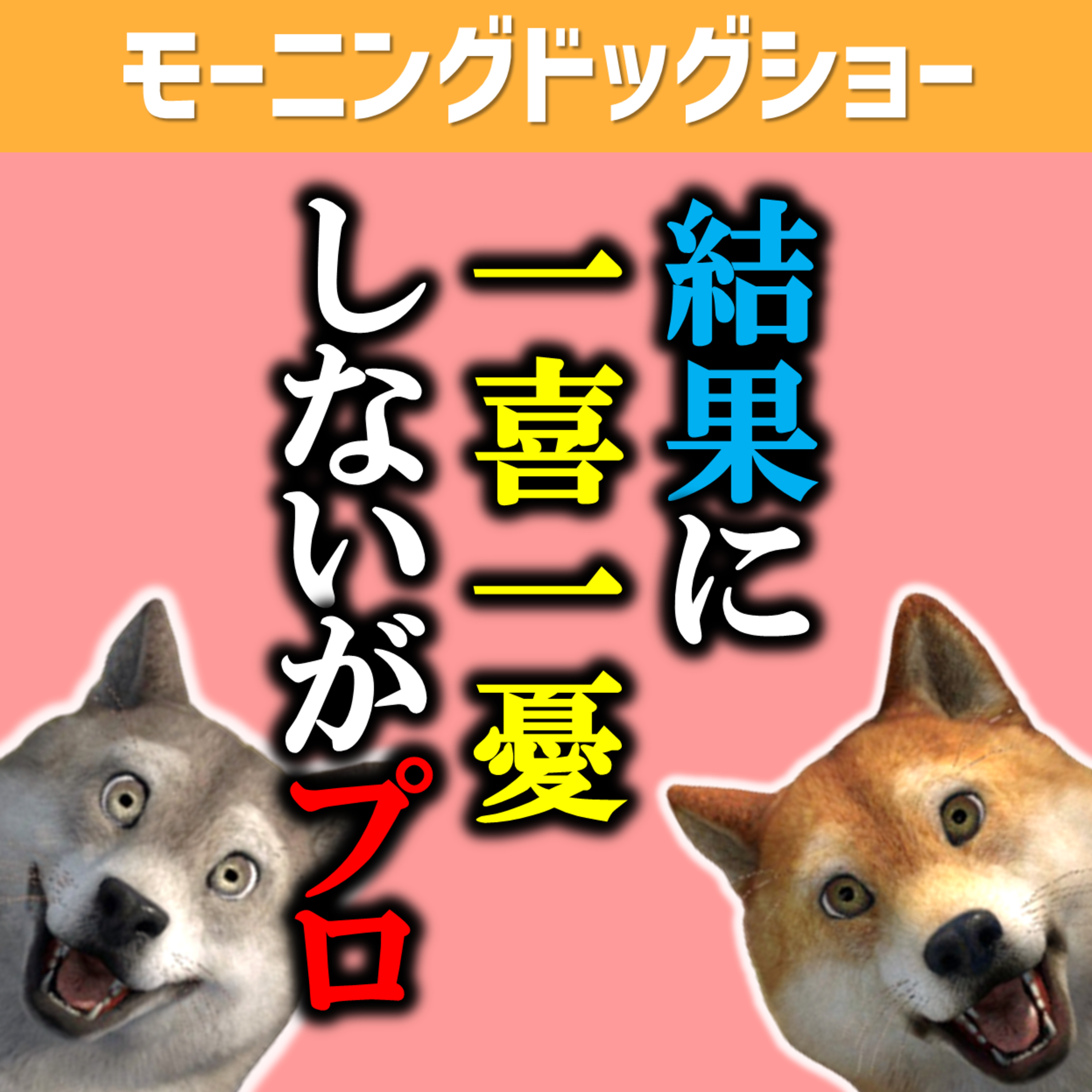 簡単に目に見える結果に一喜一憂しないのがプロ episode artwork