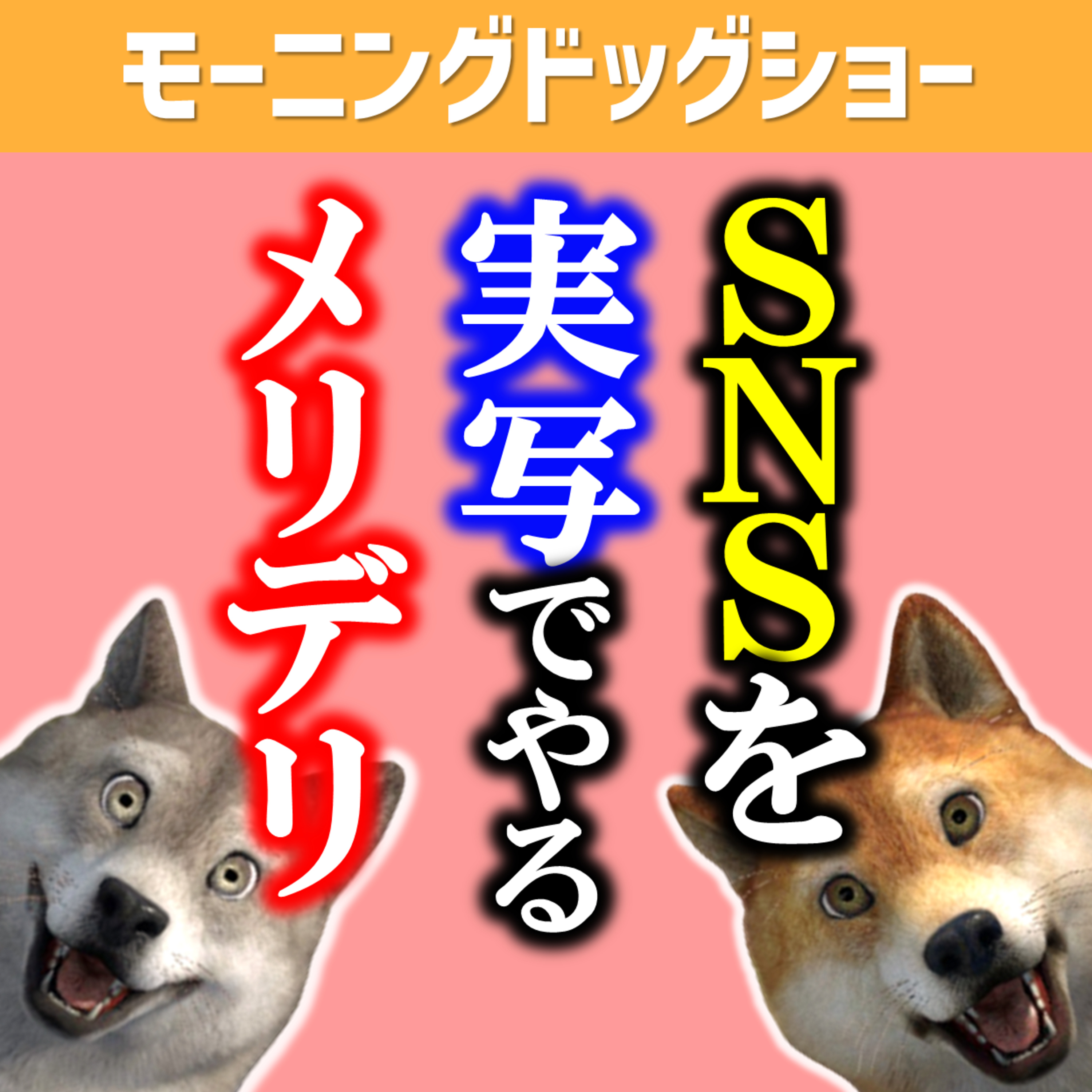 SNSを実写で行うことのメリットとデメリット episode artwork