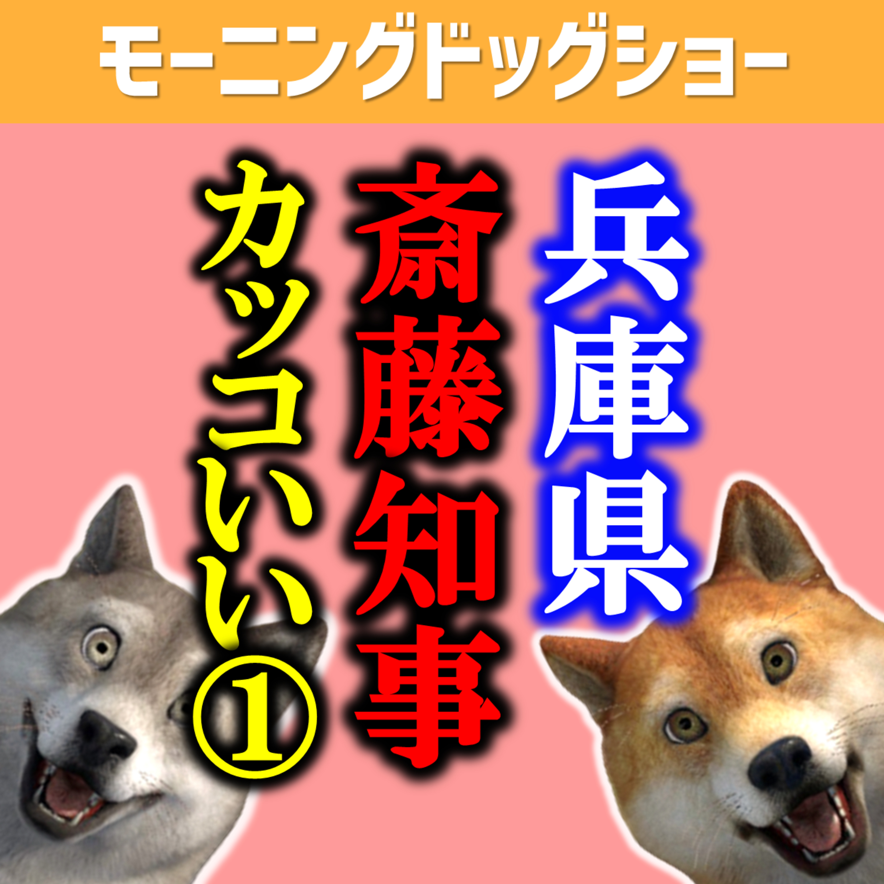 兵庫県斎藤知事がカッコよすぎる（前半） episode artwork