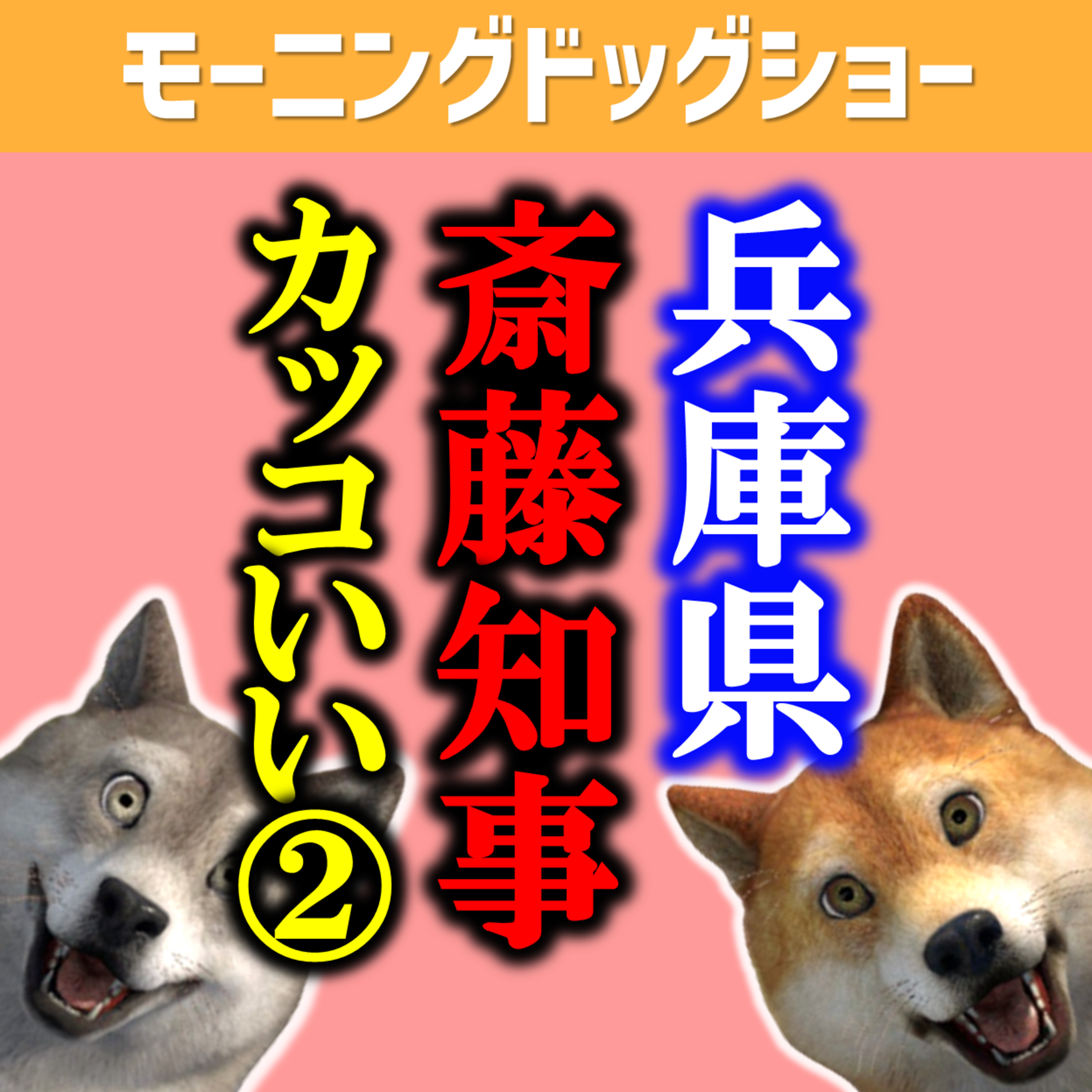 兵庫県斎藤知事がカッコよすぎる（後半） episode artwork