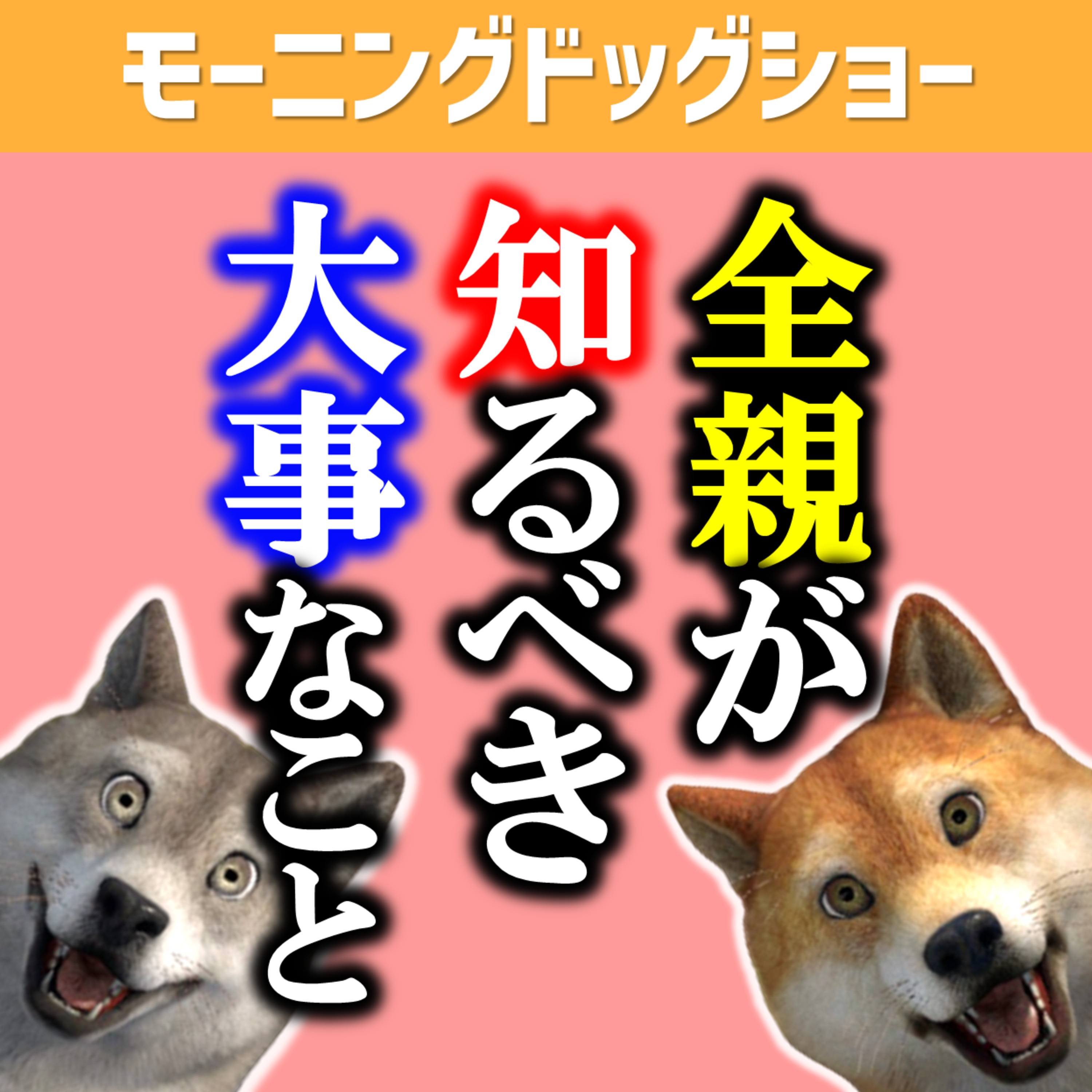 全ての親がこれだけは抑えておかないといけないこと episode artwork