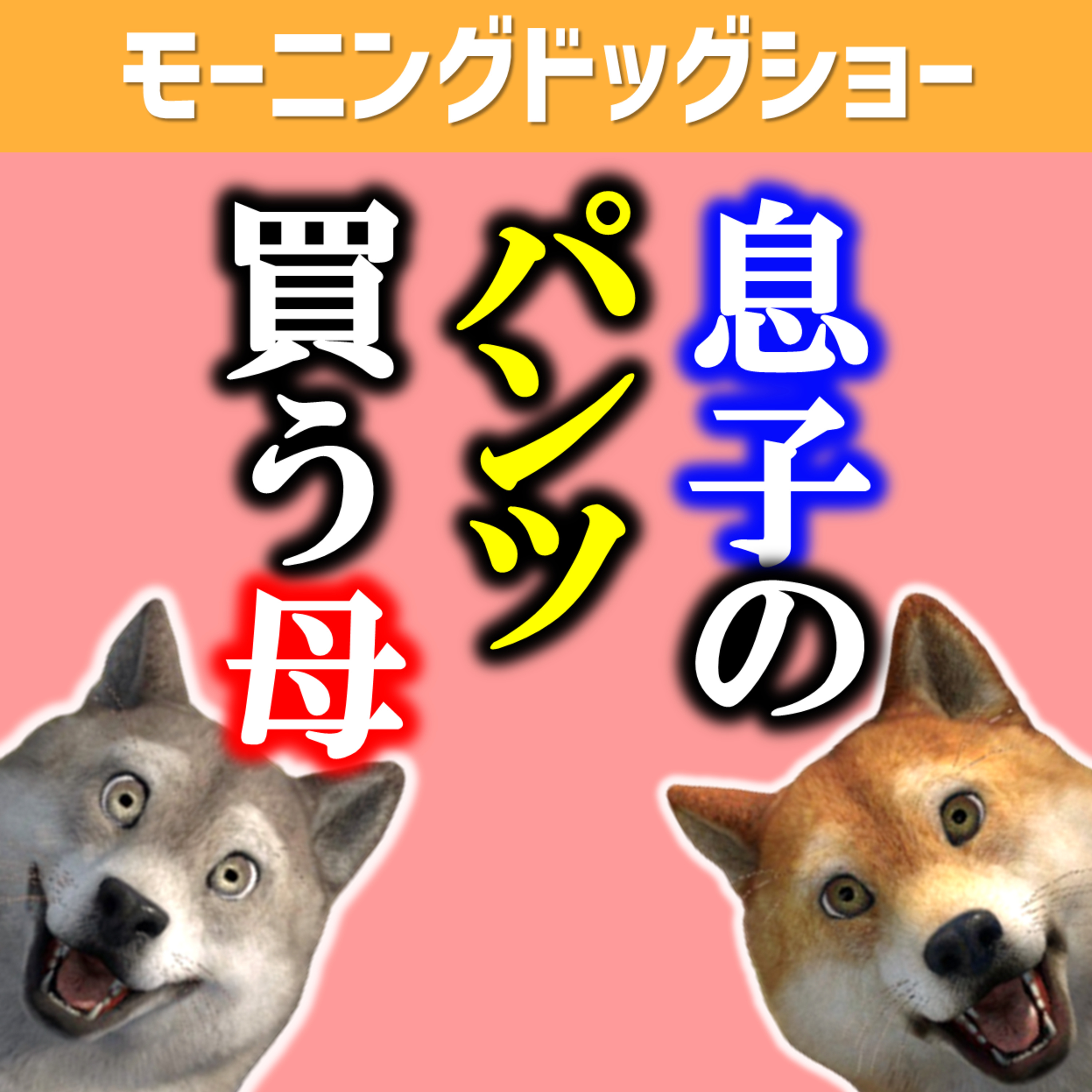 息子のパンツ買ってる母。というより息子のマインドが重要 episode artwork
