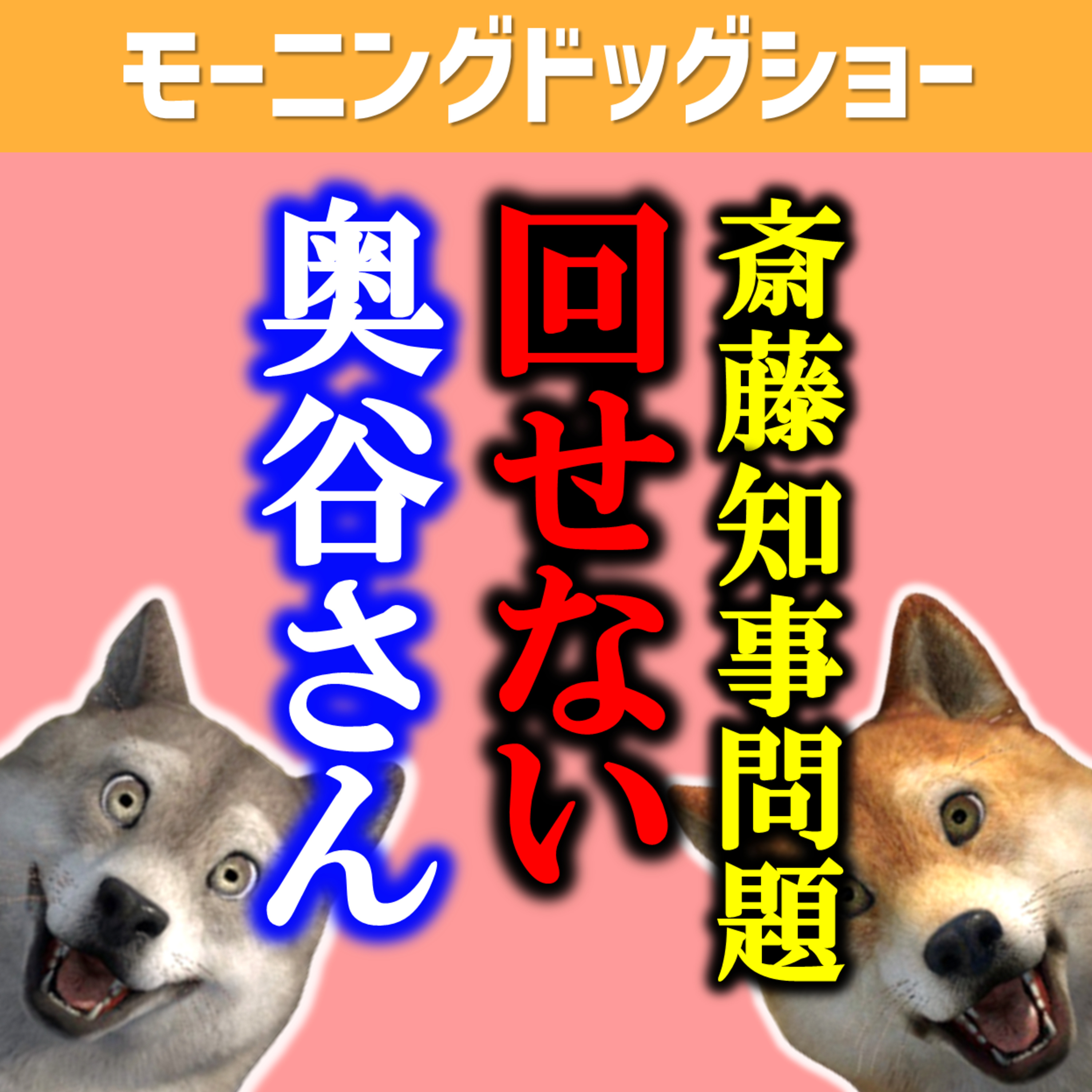 兵庫県斎藤知事めぐる問題「奥谷委員長」 episode artwork