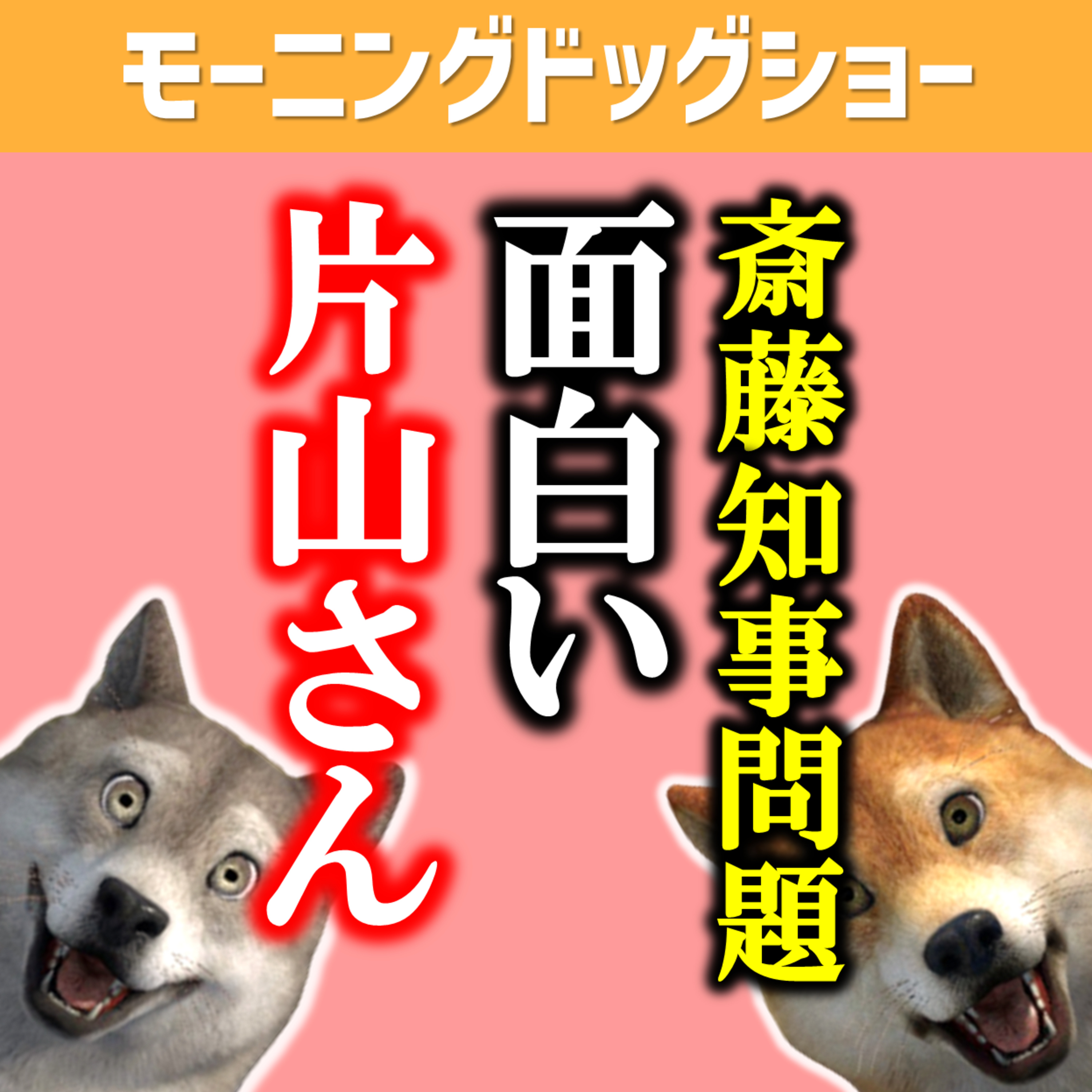 兵庫県斎藤知事問題「面白い片山さん」 episode artwork