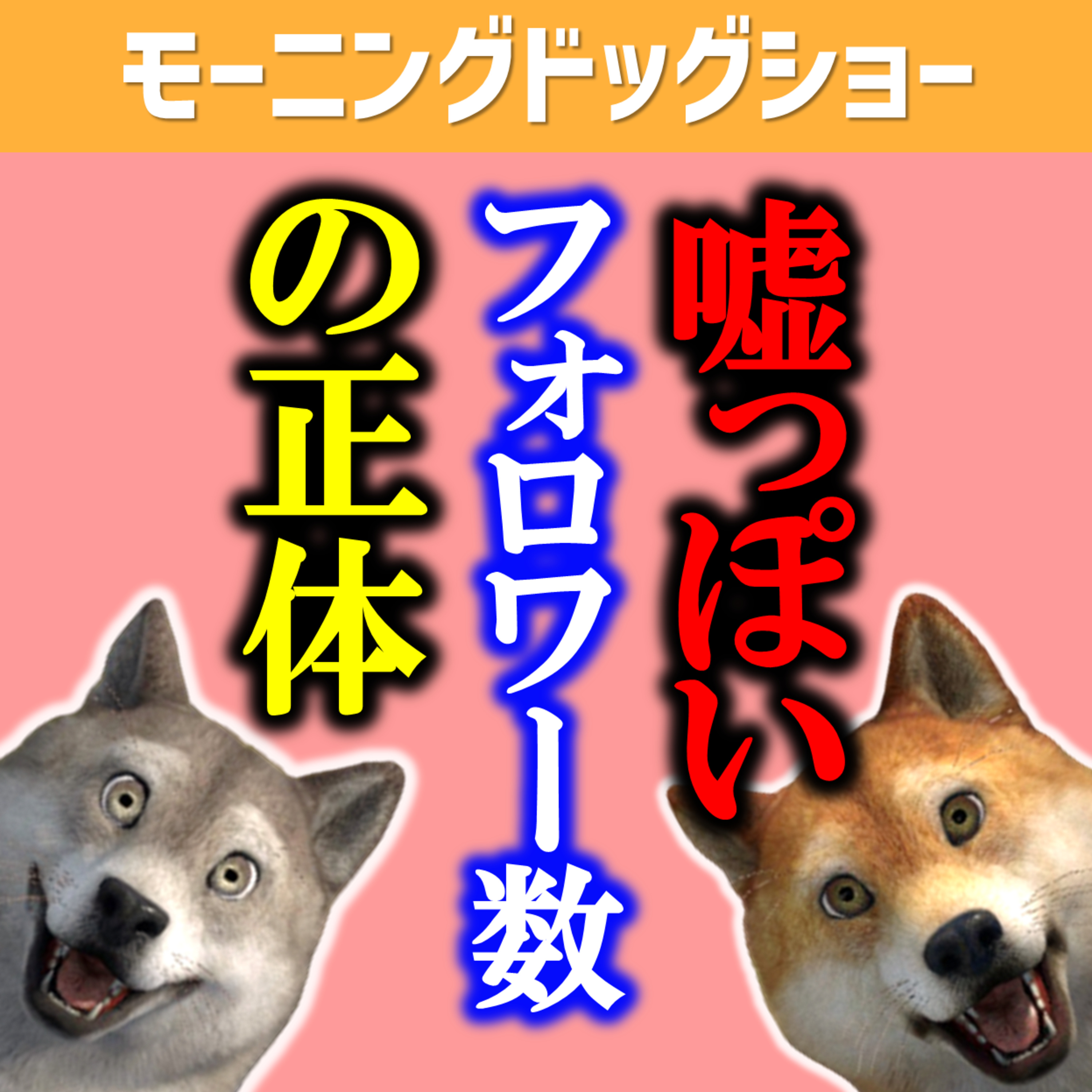 嘘っぽいフォロワー数に踊らされないぞ episode artwork