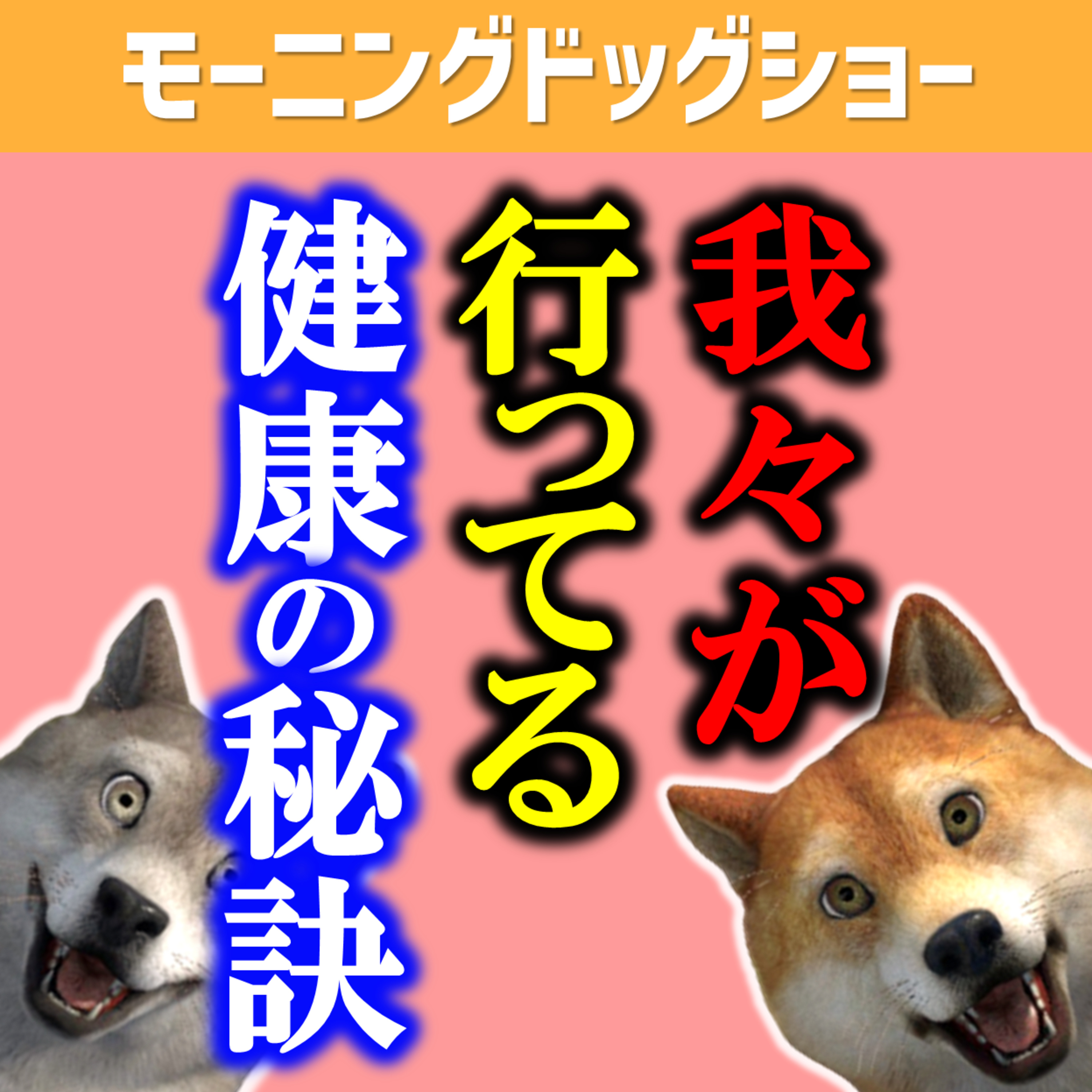 我々が実践する健康の秘訣とは？ episode artwork
