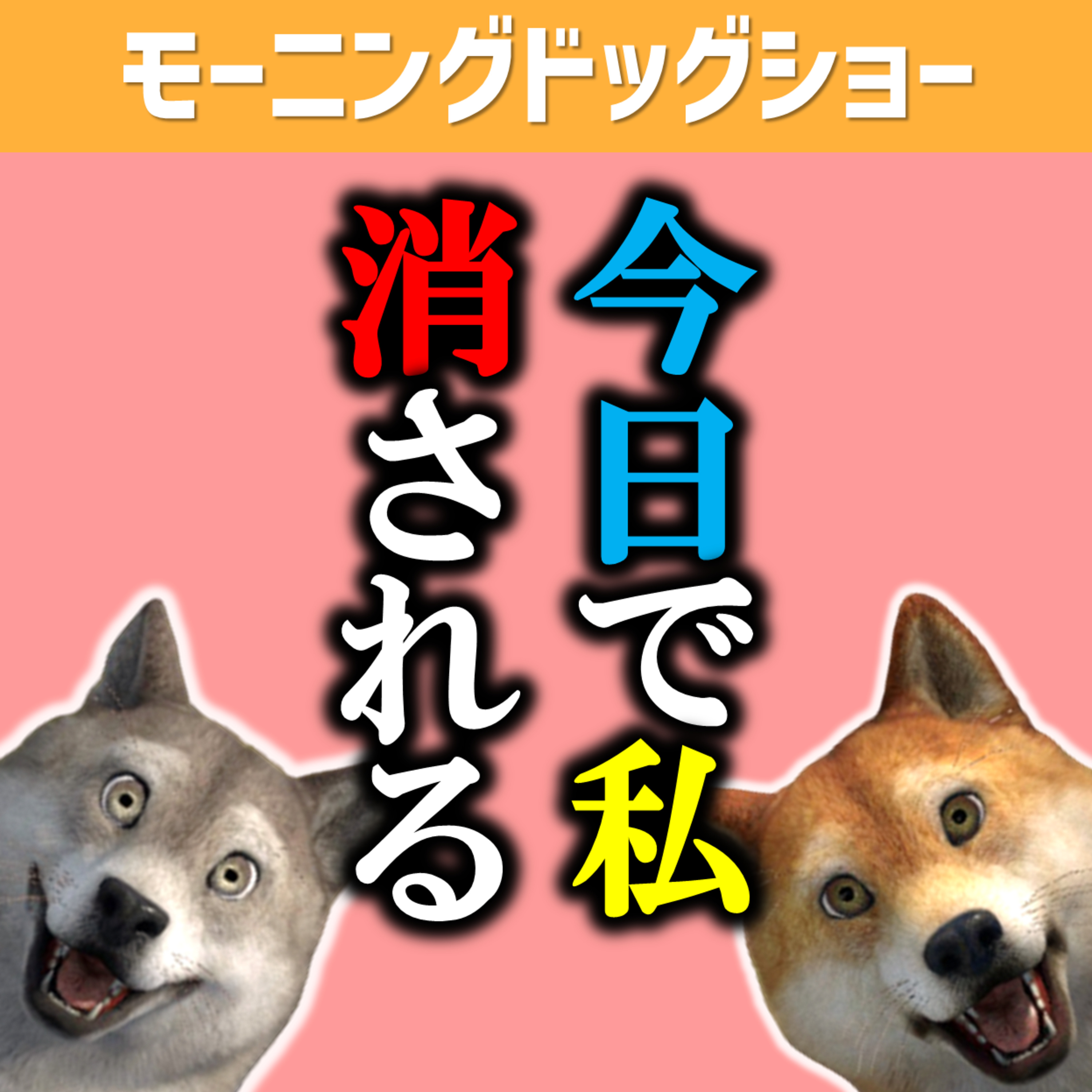 パーソナルトレーナーと謎のサシ飲みをすることになった episode artwork