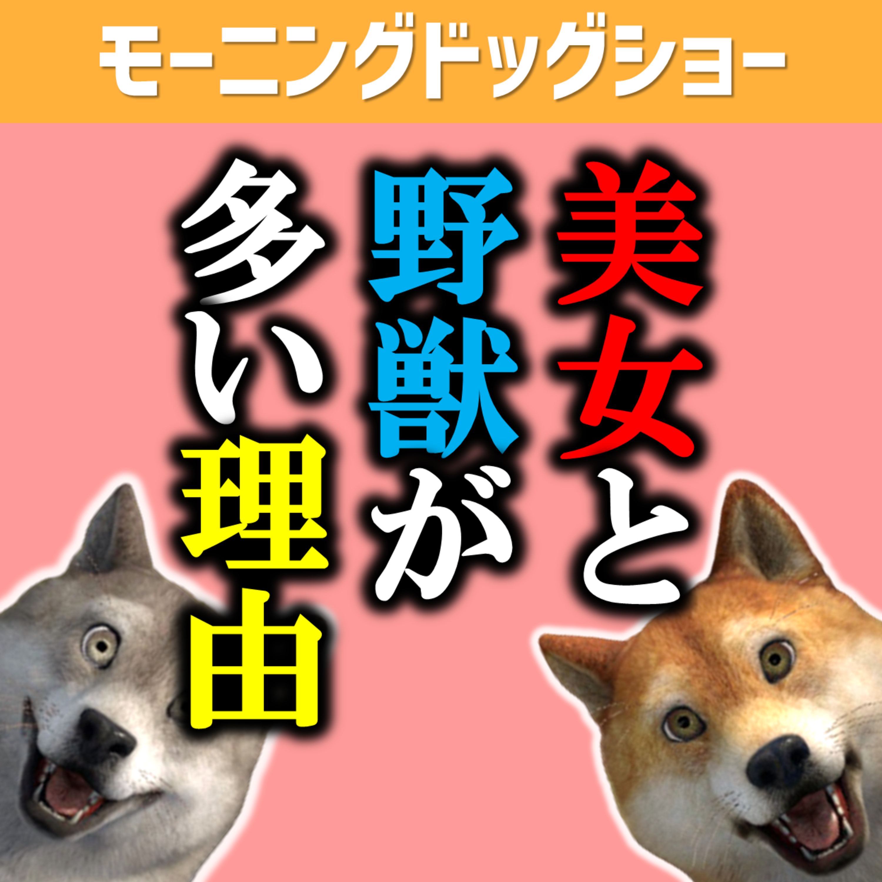 美女と野獣が多い理由 episode artwork