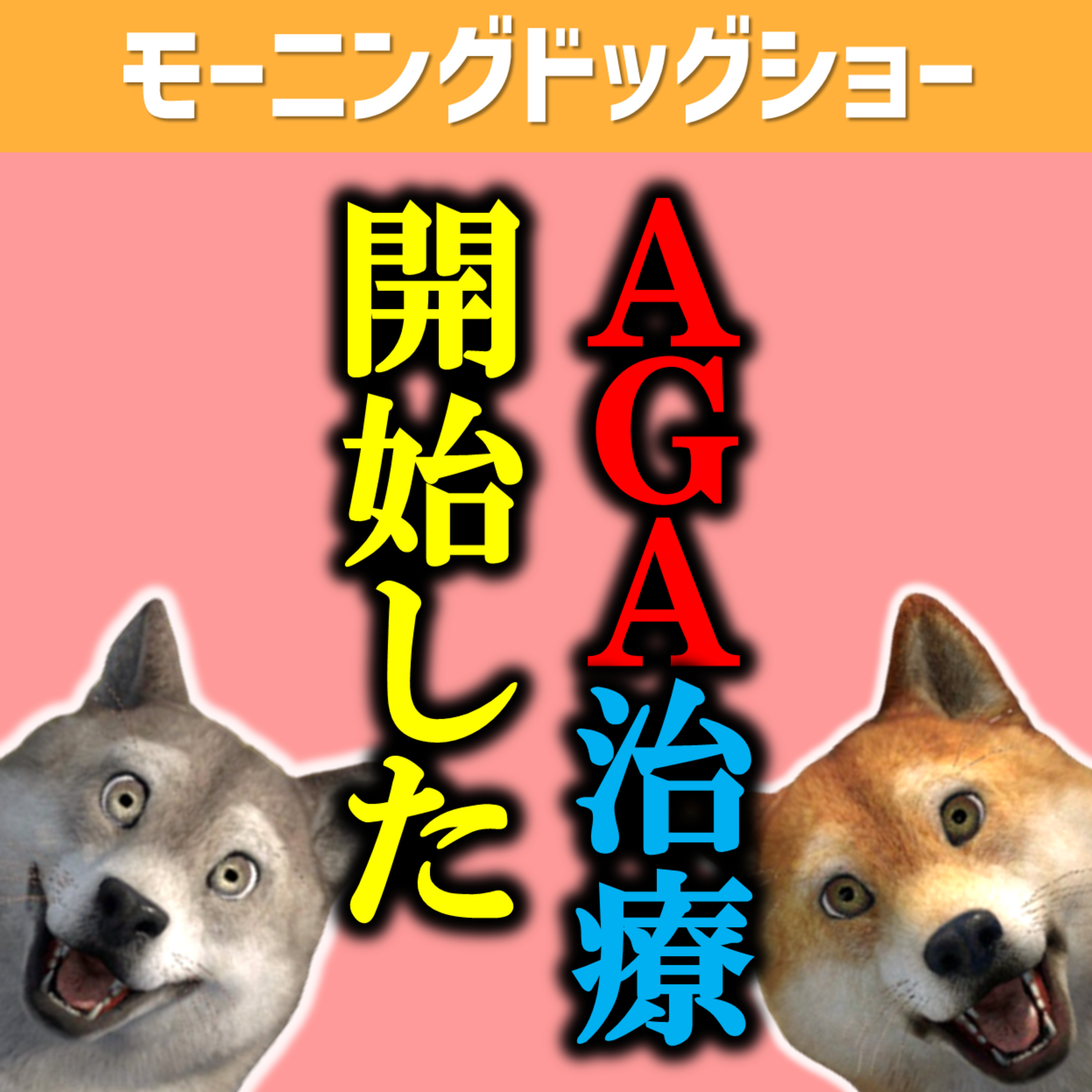 AGA治療って薬飲むだけなんだよ episode artwork