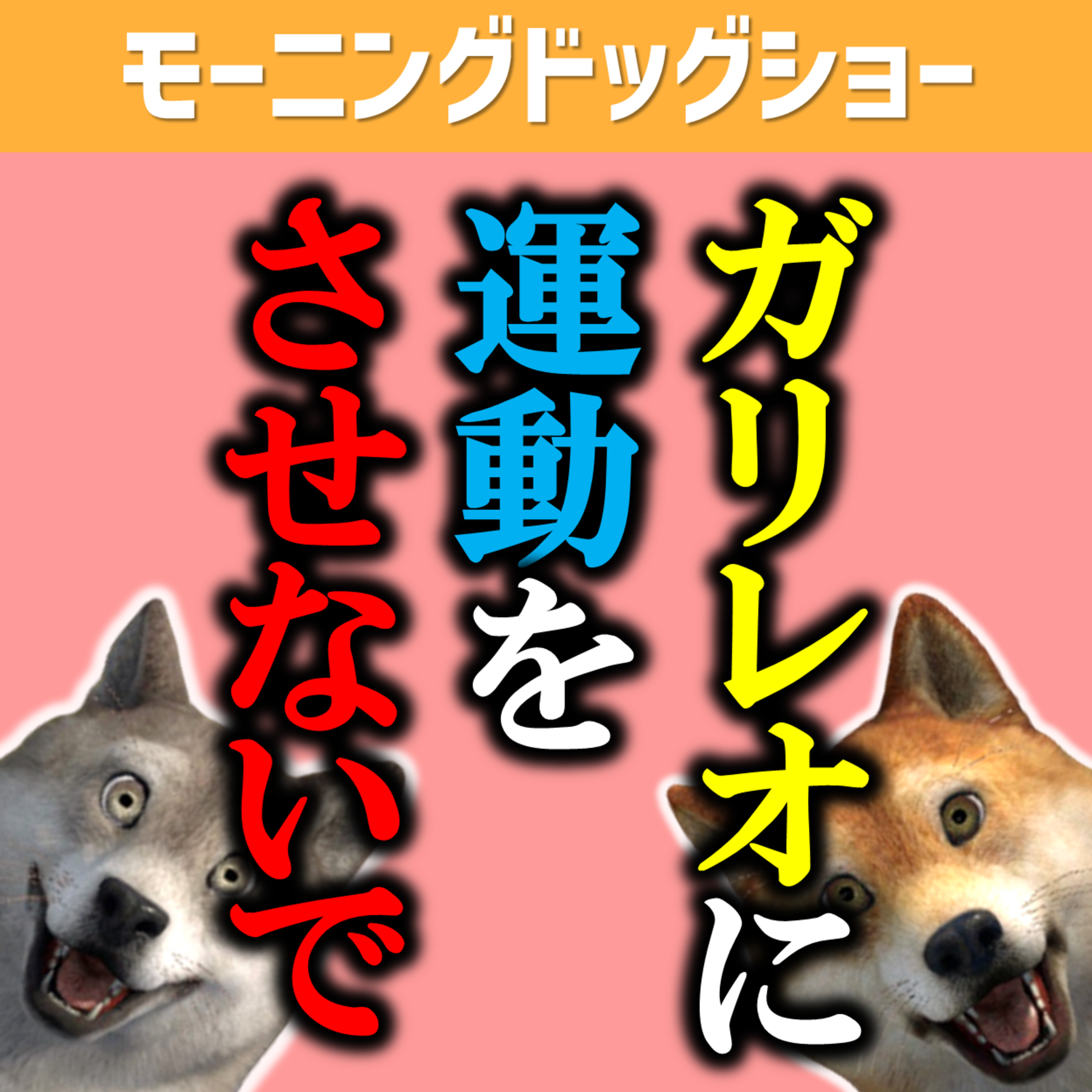 ガリレオに運動さすな episode artwork