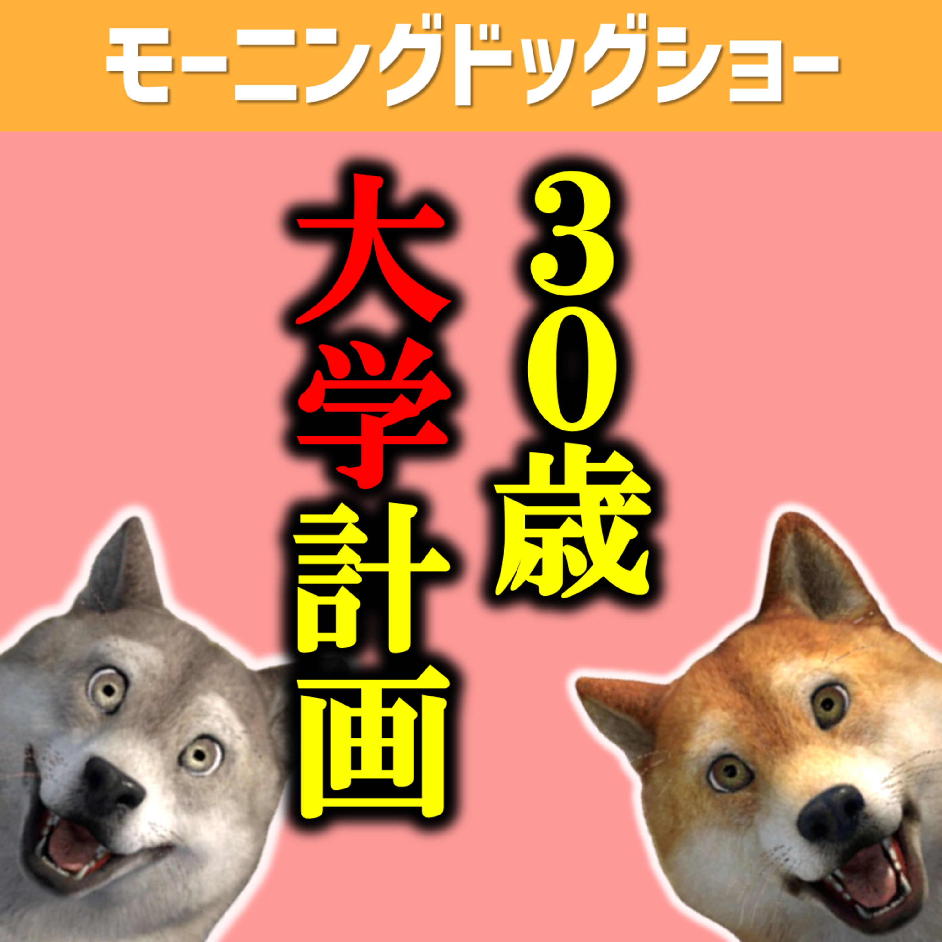 日本全体が30歳で大学にいく仕組みする episode artwork