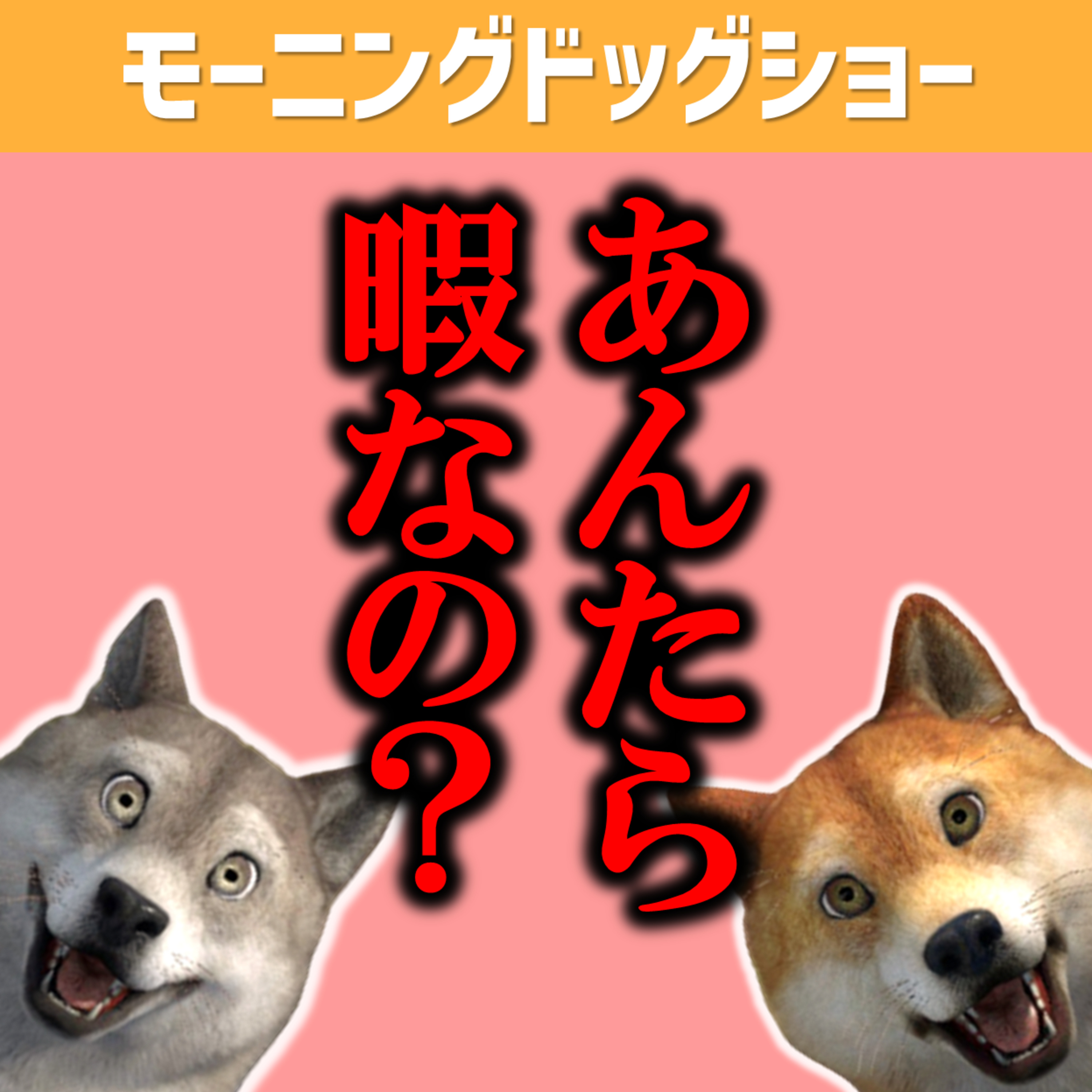 事業経営+Youtube毎日配信ができる理由 episode artwork