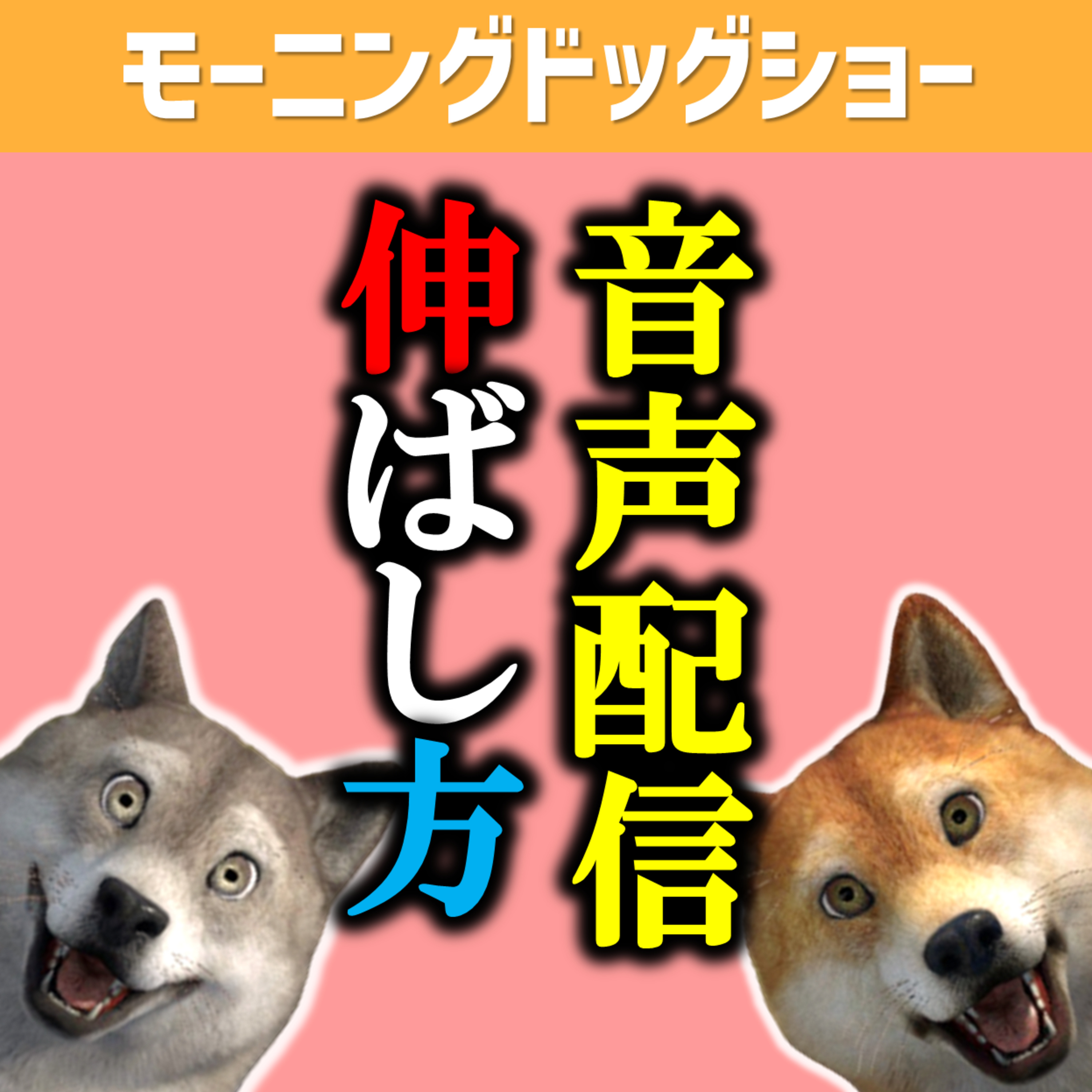 ─音声配信SNSを伸ばすために─今後やろうと思っていることがあります episode artwork